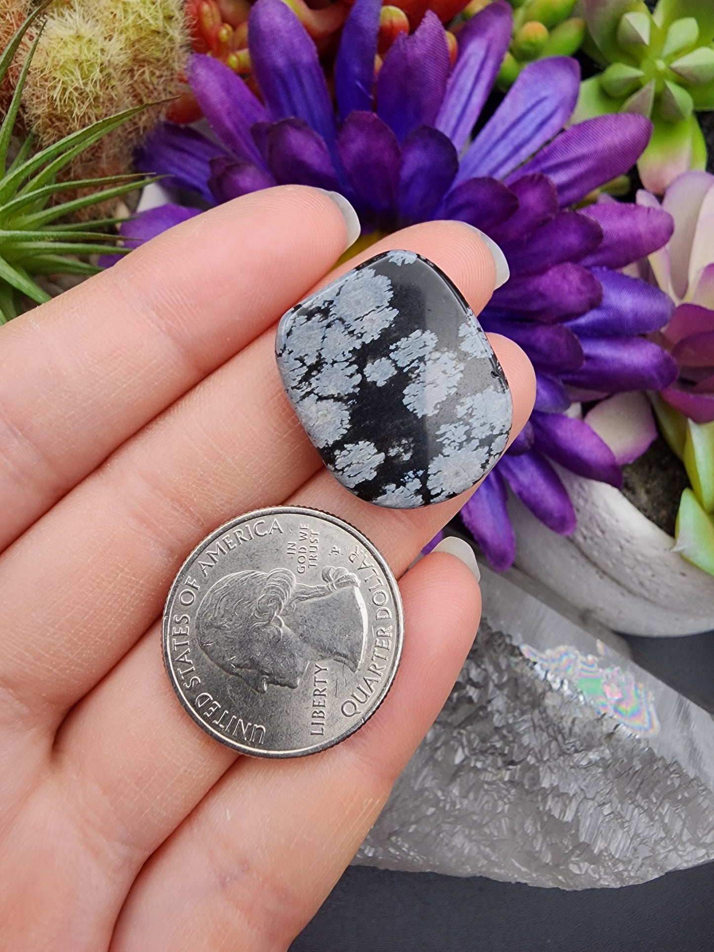Snowflake Obsidian Coin