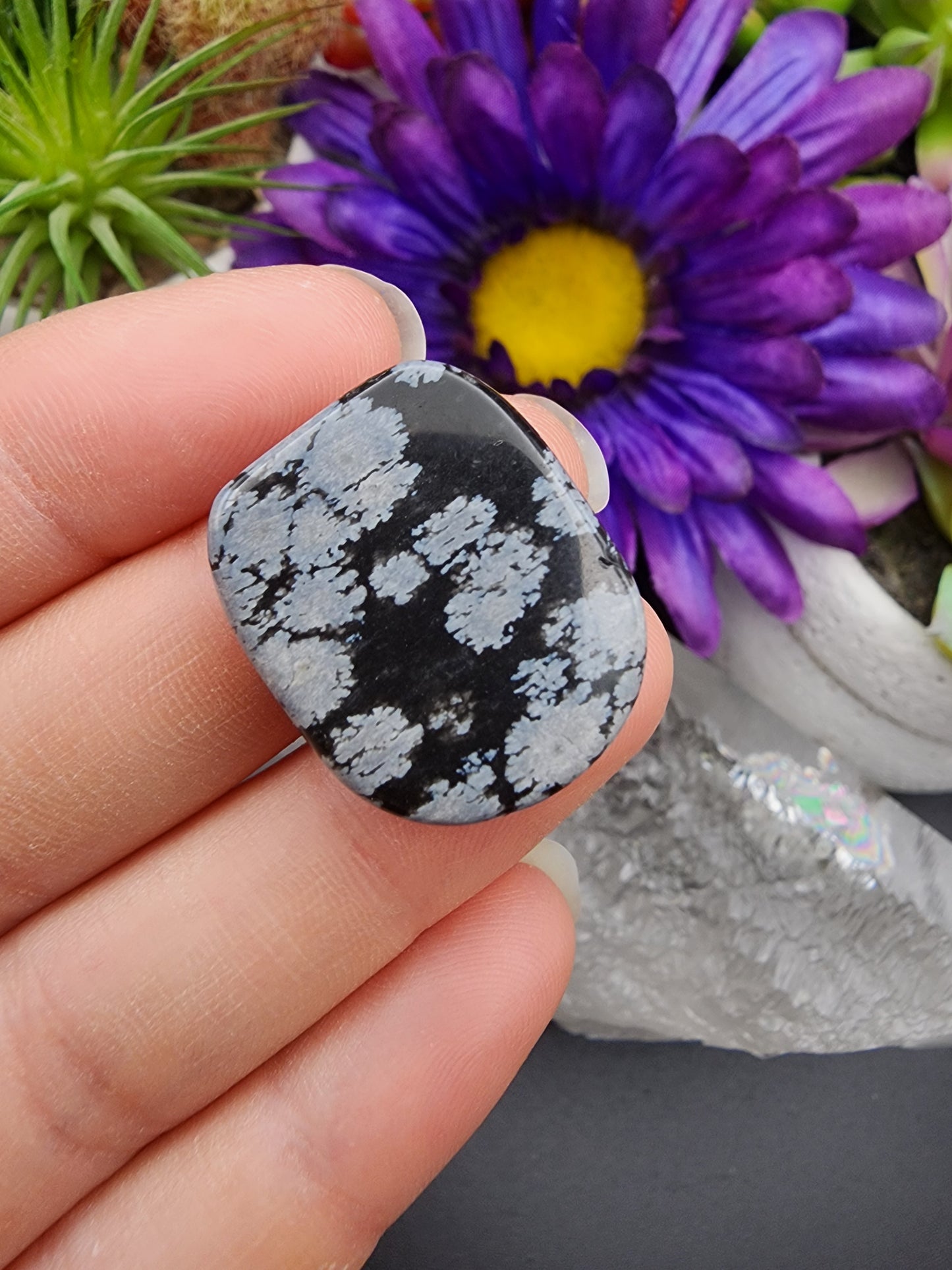 Snowflake Obsidian Coin