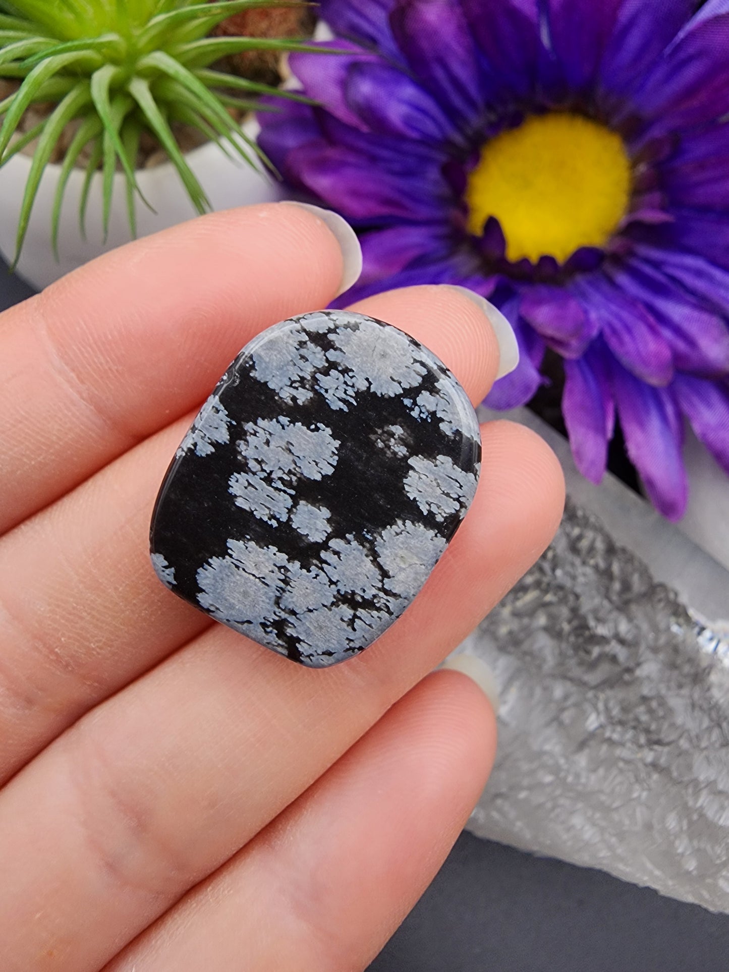 Snowflake Obsidian Coin