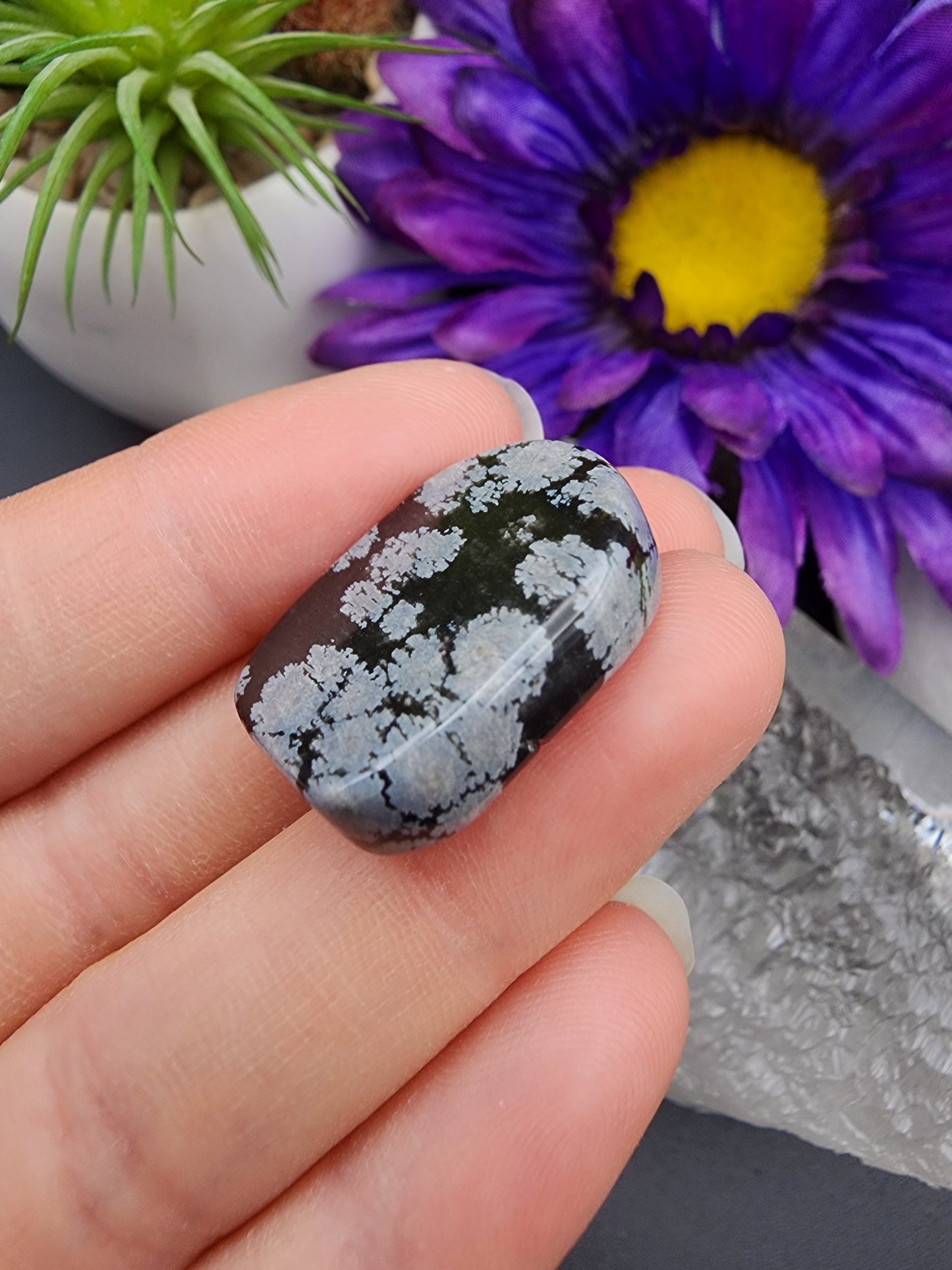 Snowflake Obsidian Coin