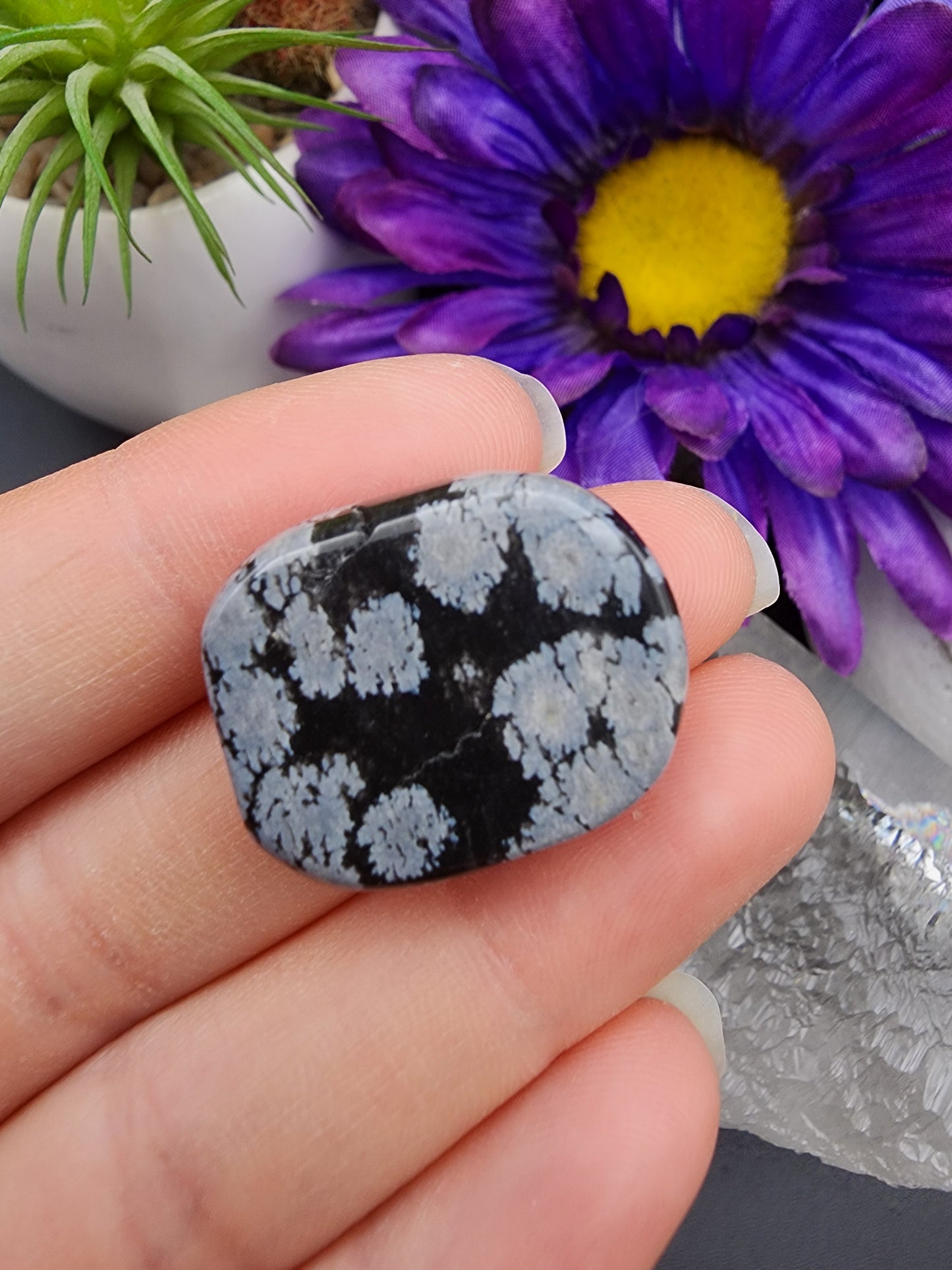 Snowflake Obsidian Coin
