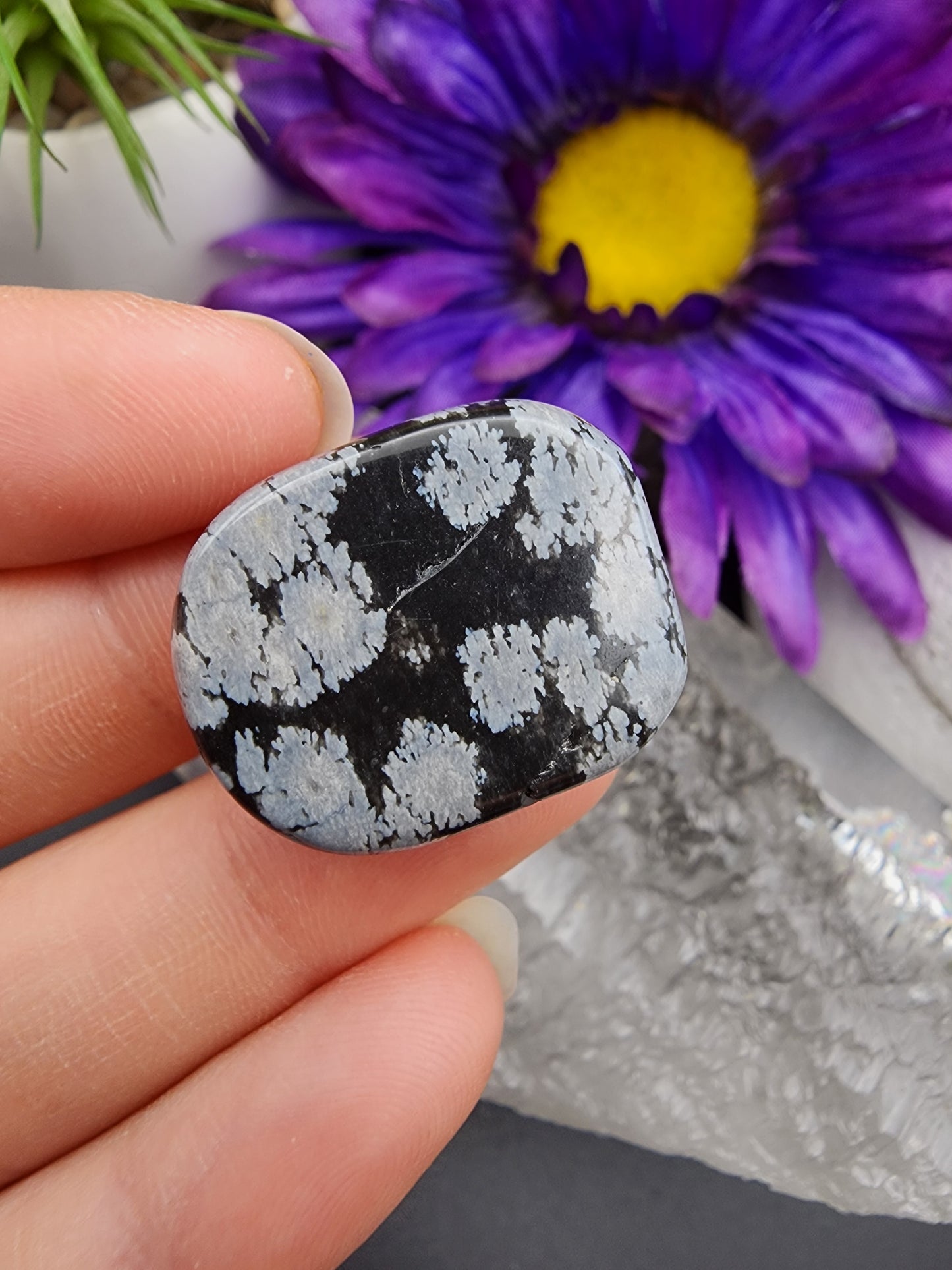 Snowflake Obsidian Coin