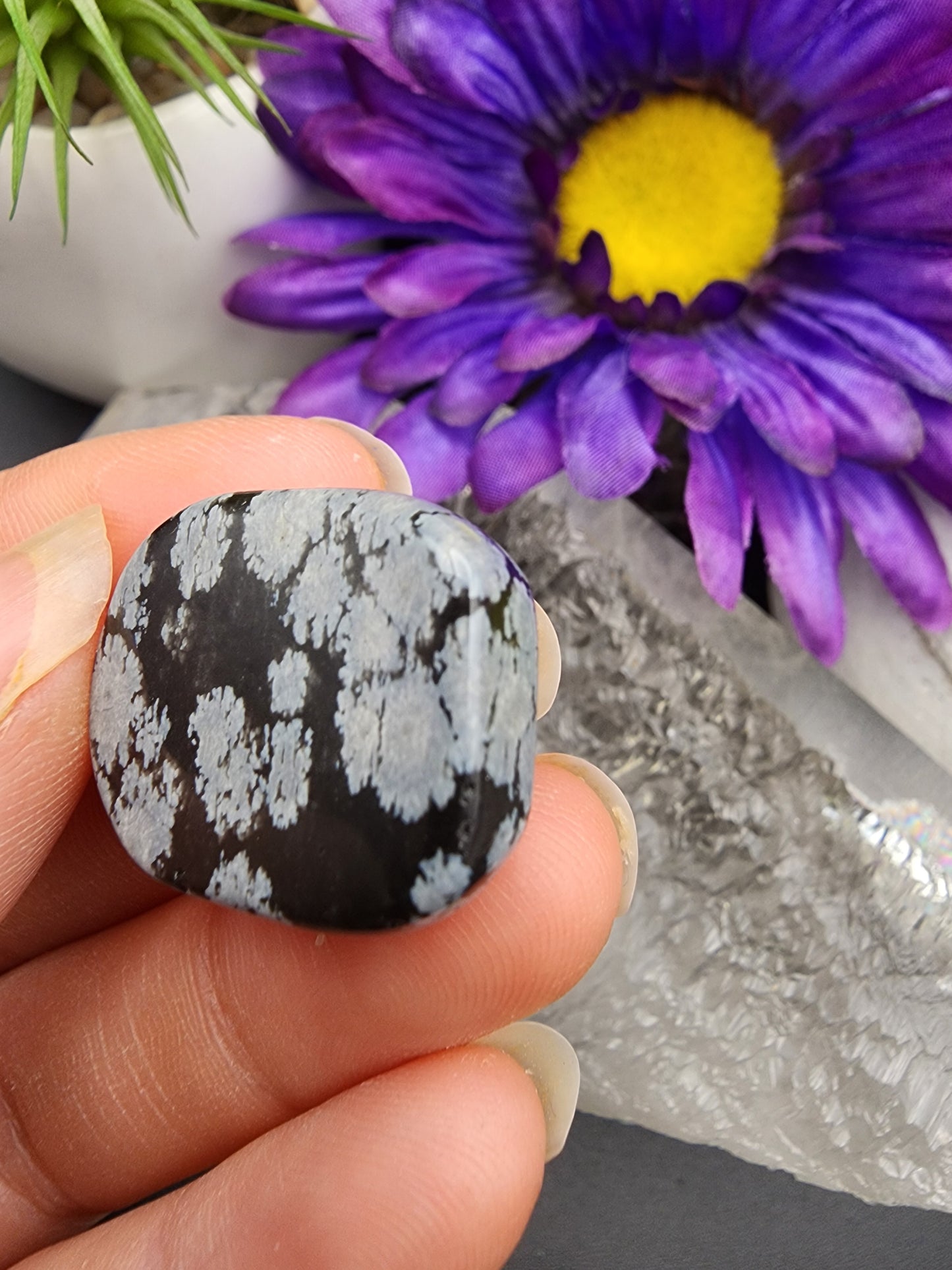 Snowflake Obsidian Coin