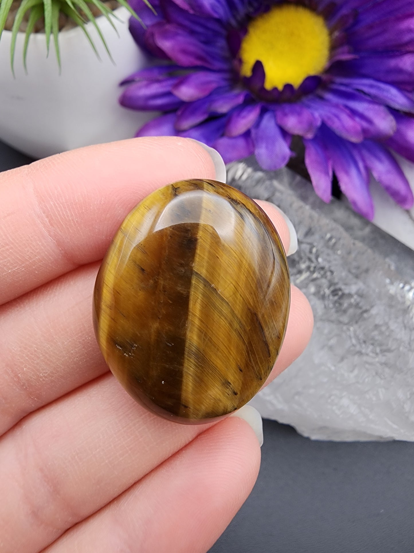 Tiger Eye Coin