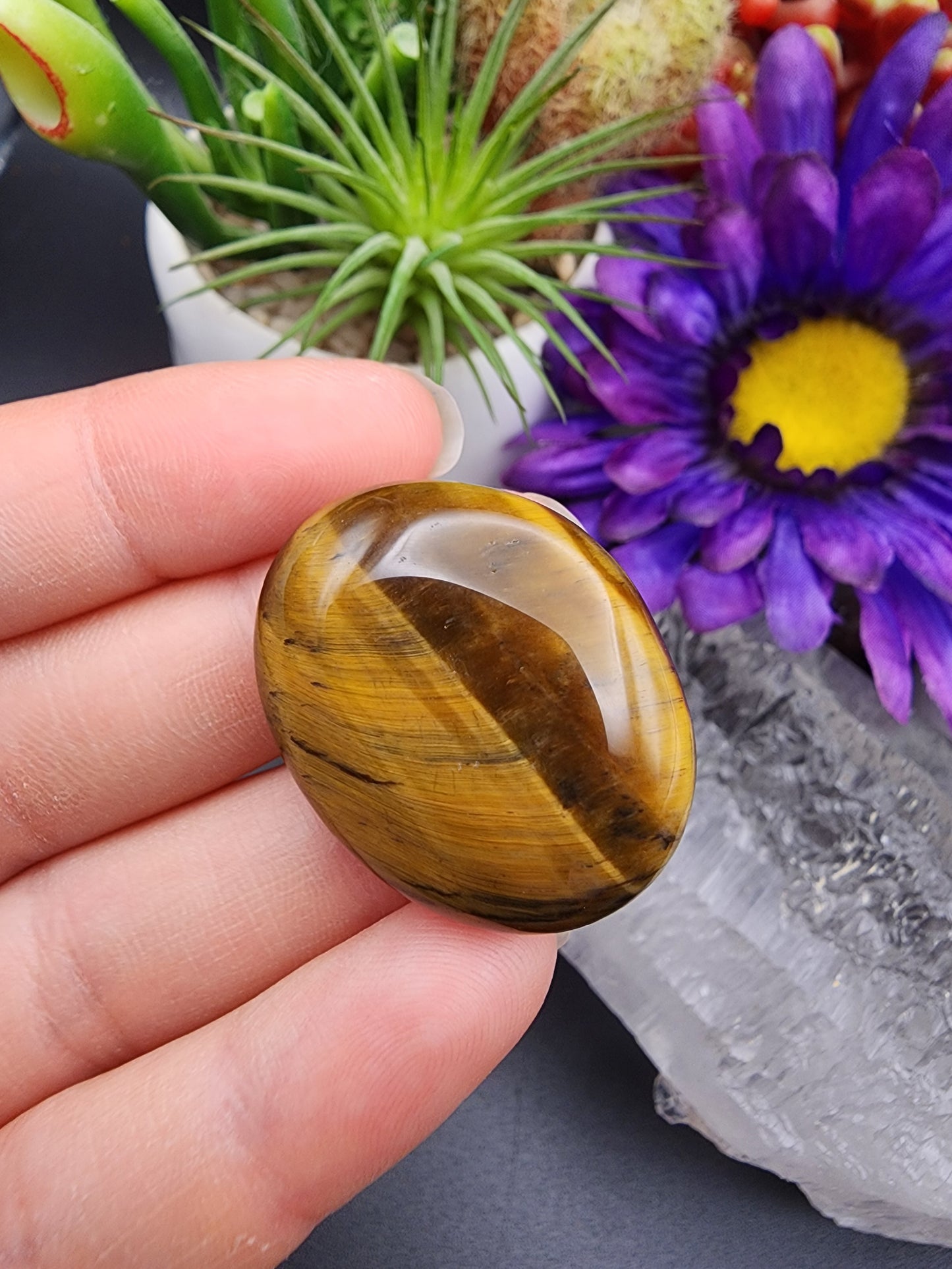 Tiger Eye Coin
