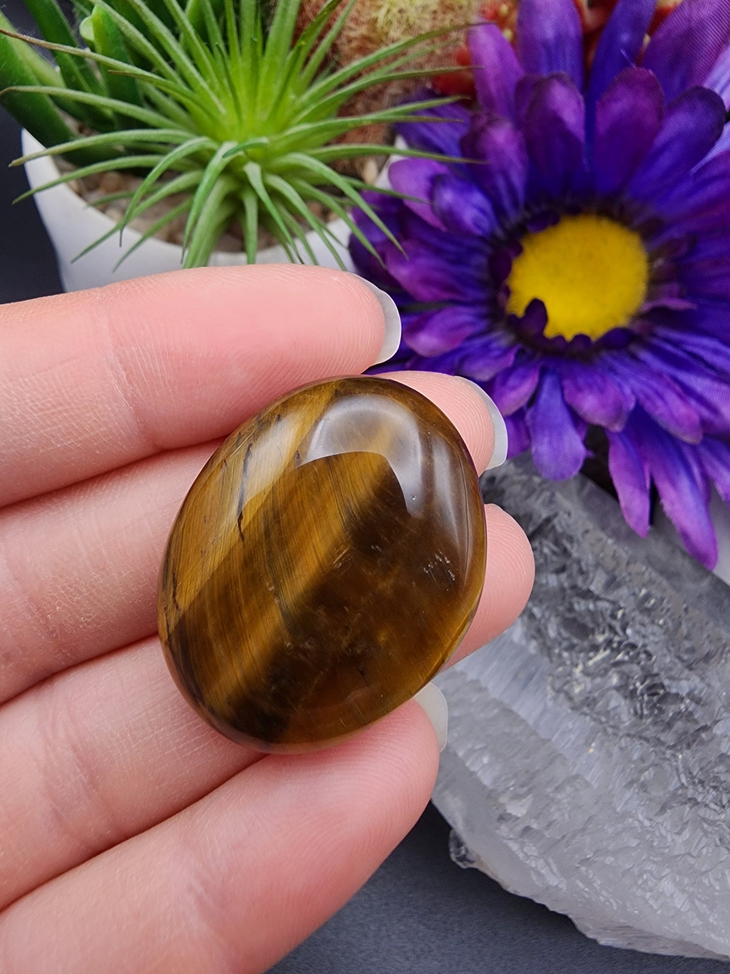 Tiger Eye Coin