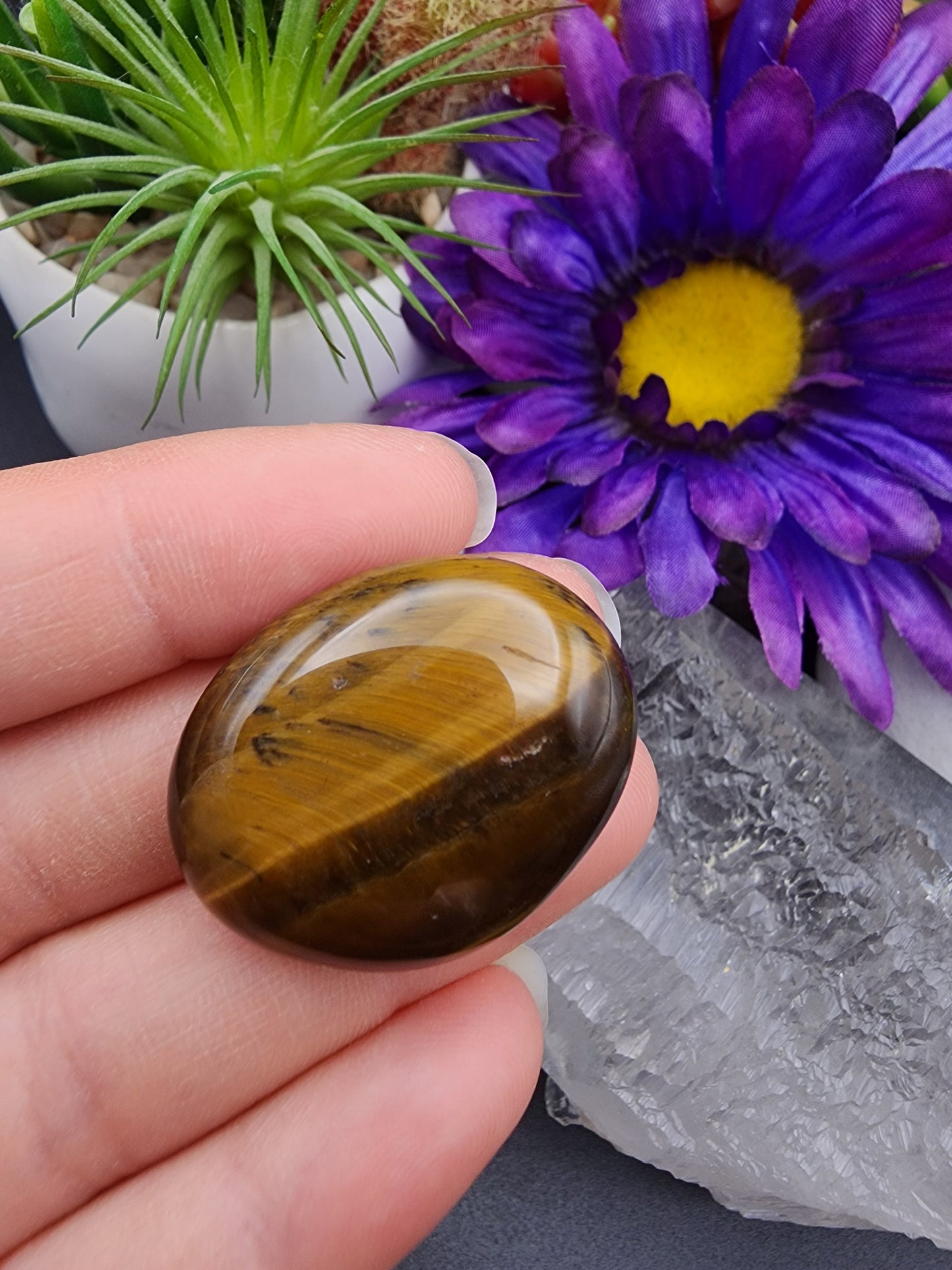 Tiger Eye Coin