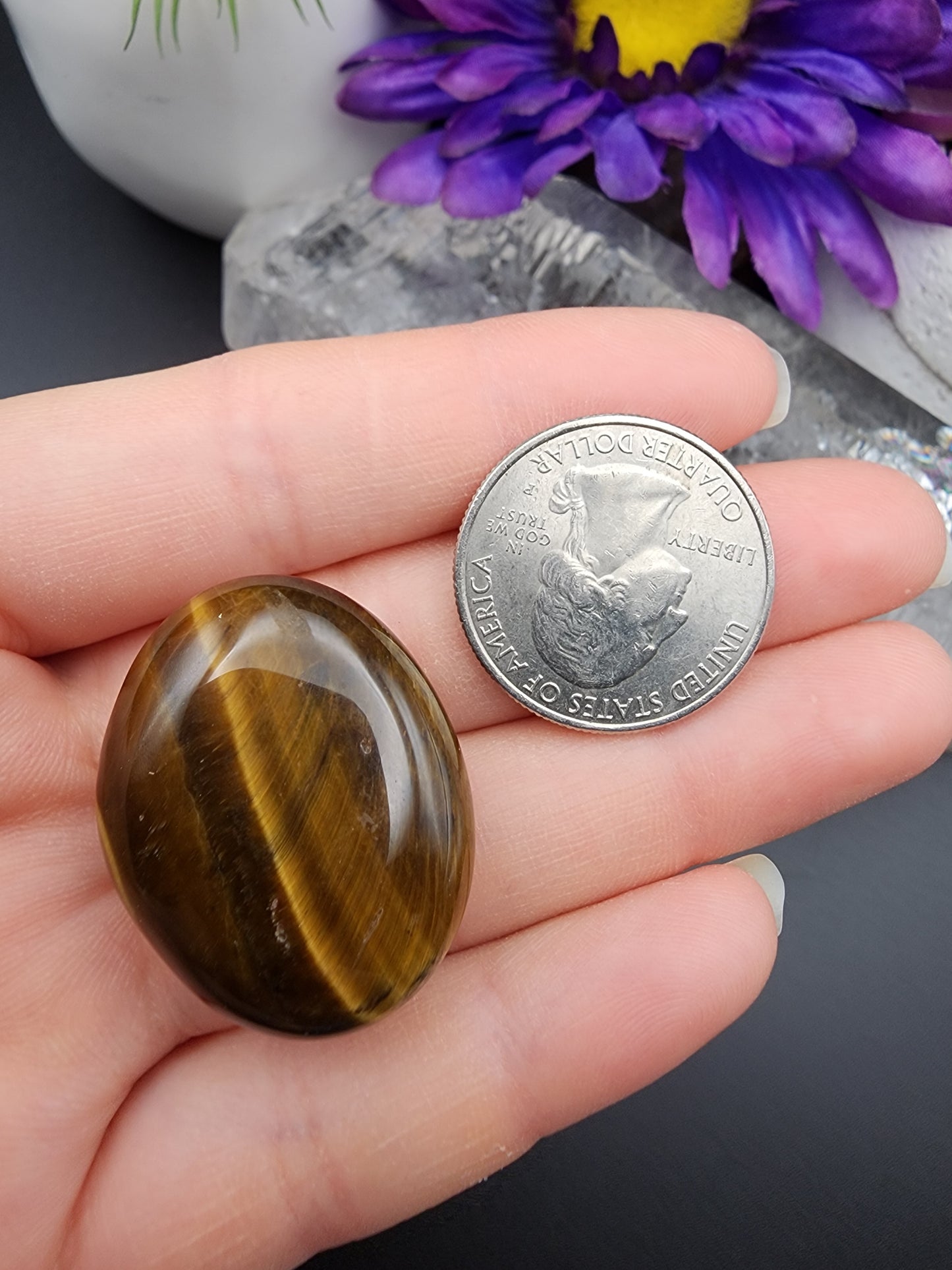 Tiger Eye Coin