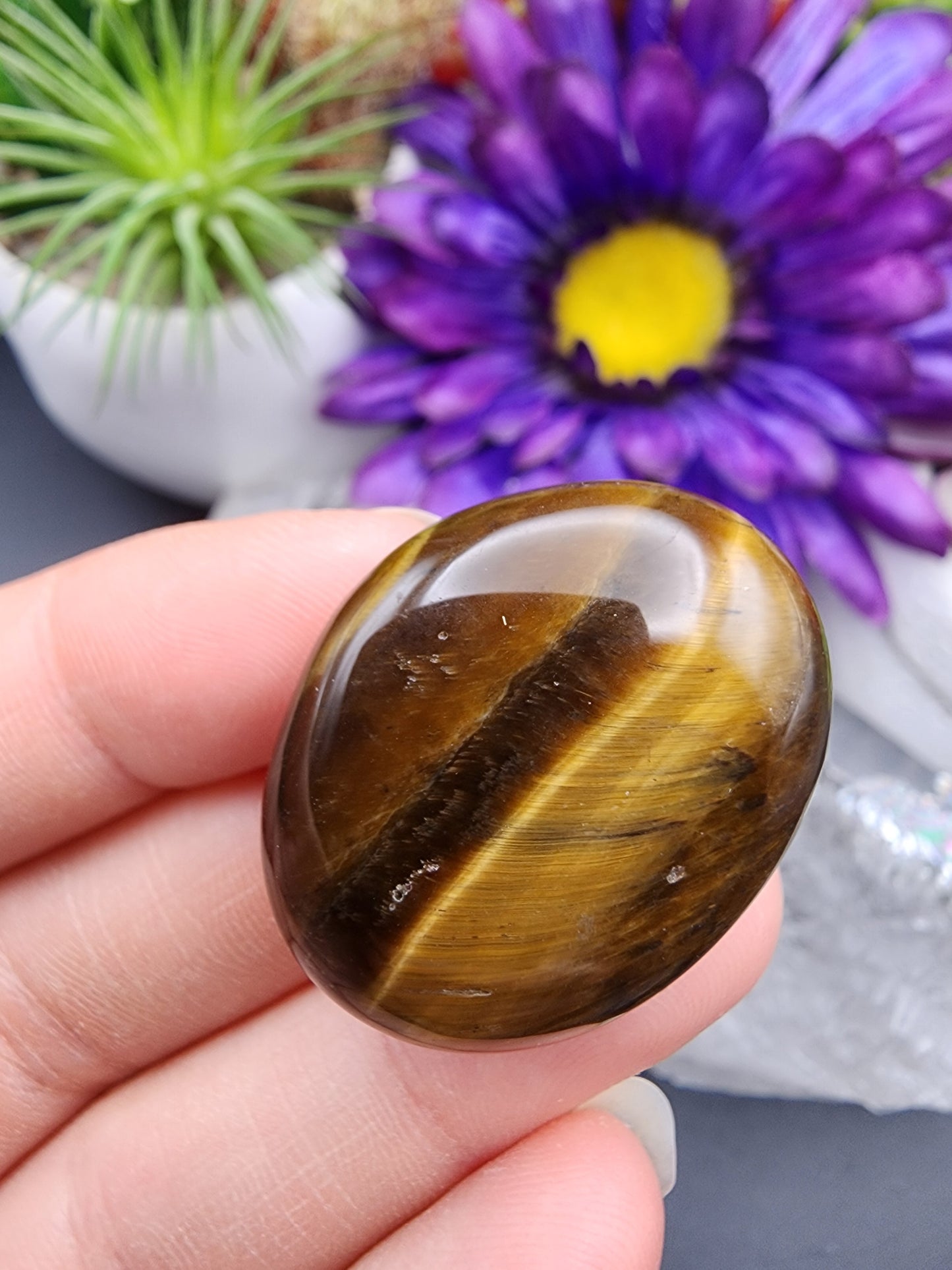 Tiger Eye Coin