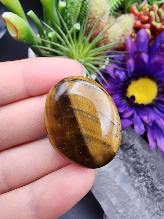 Tiger Eye Coin