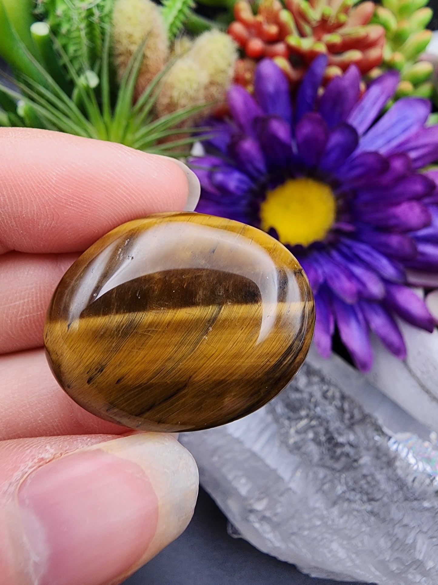 Tiger Eye Coin