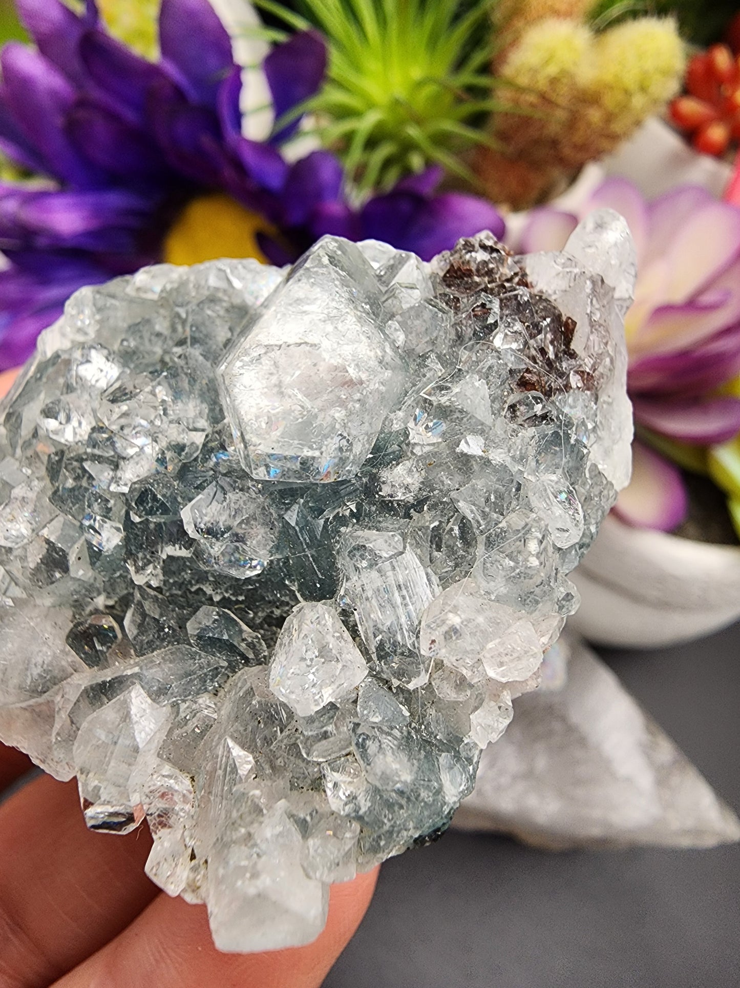 Apophyllite Cluster