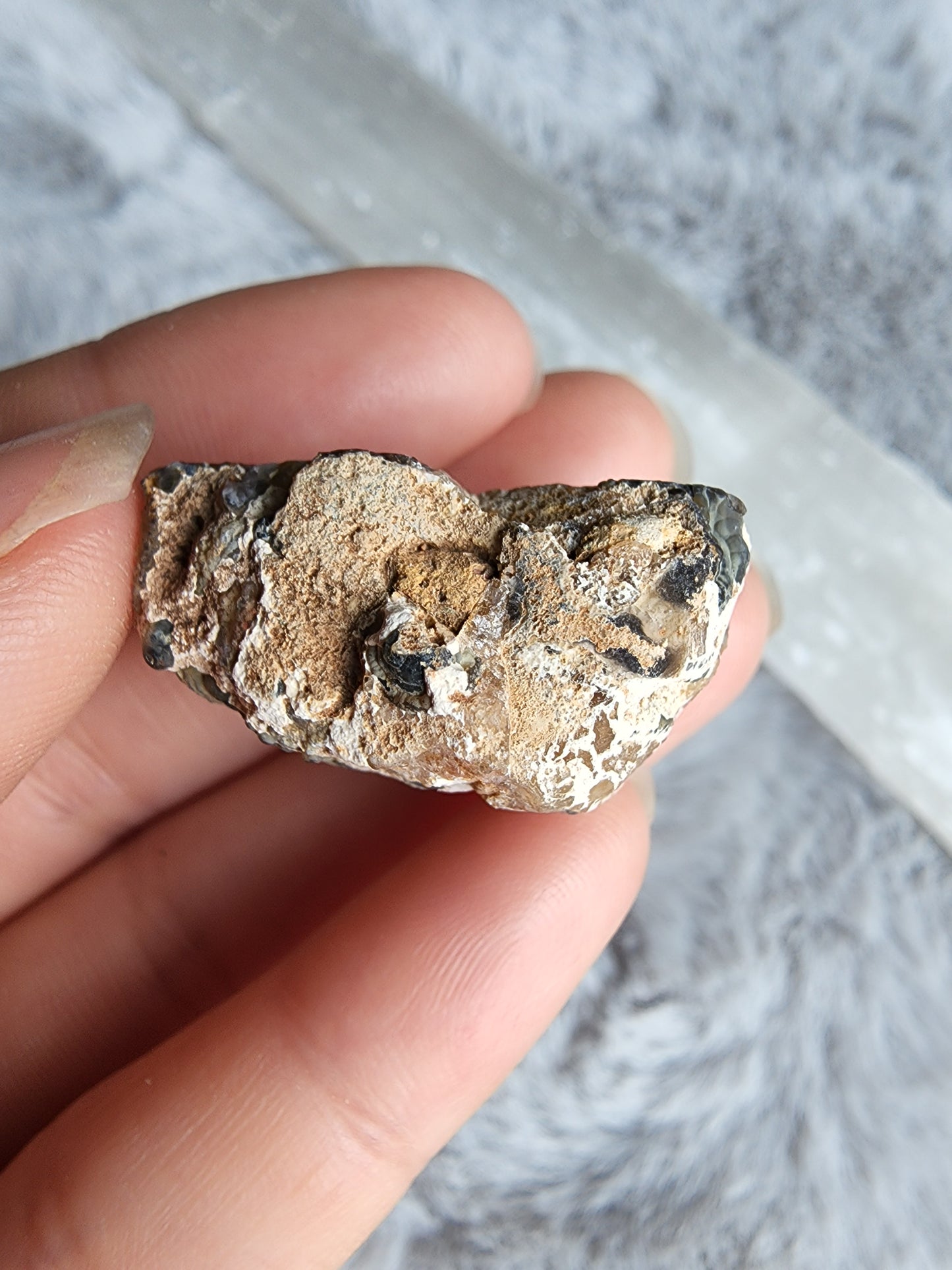 Oco Agate Geode