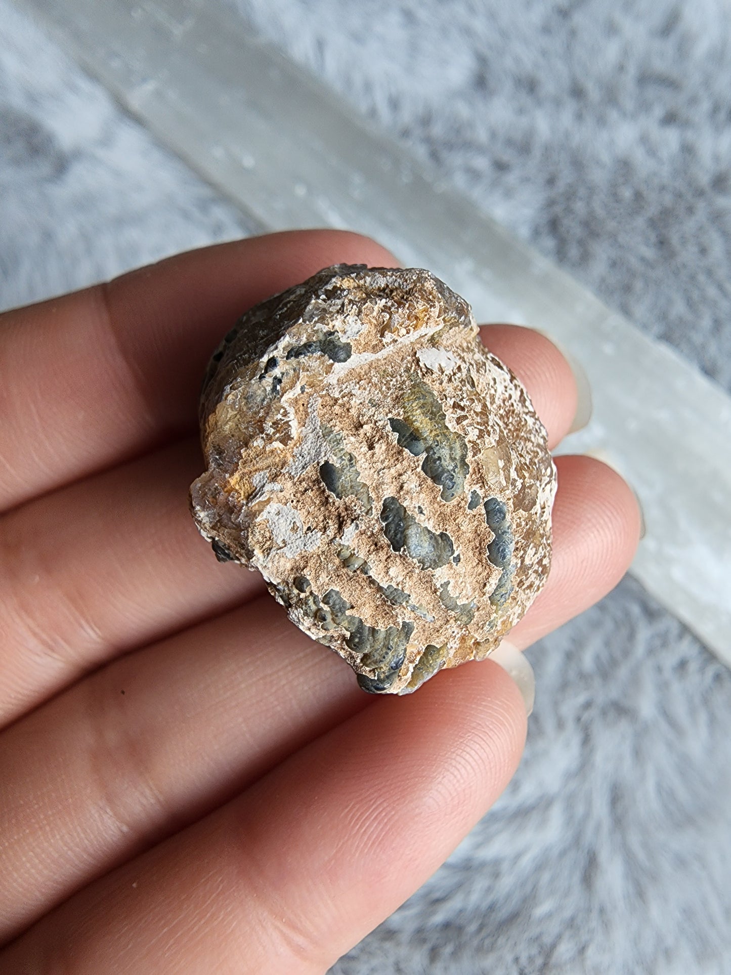 Oco Agate Geode