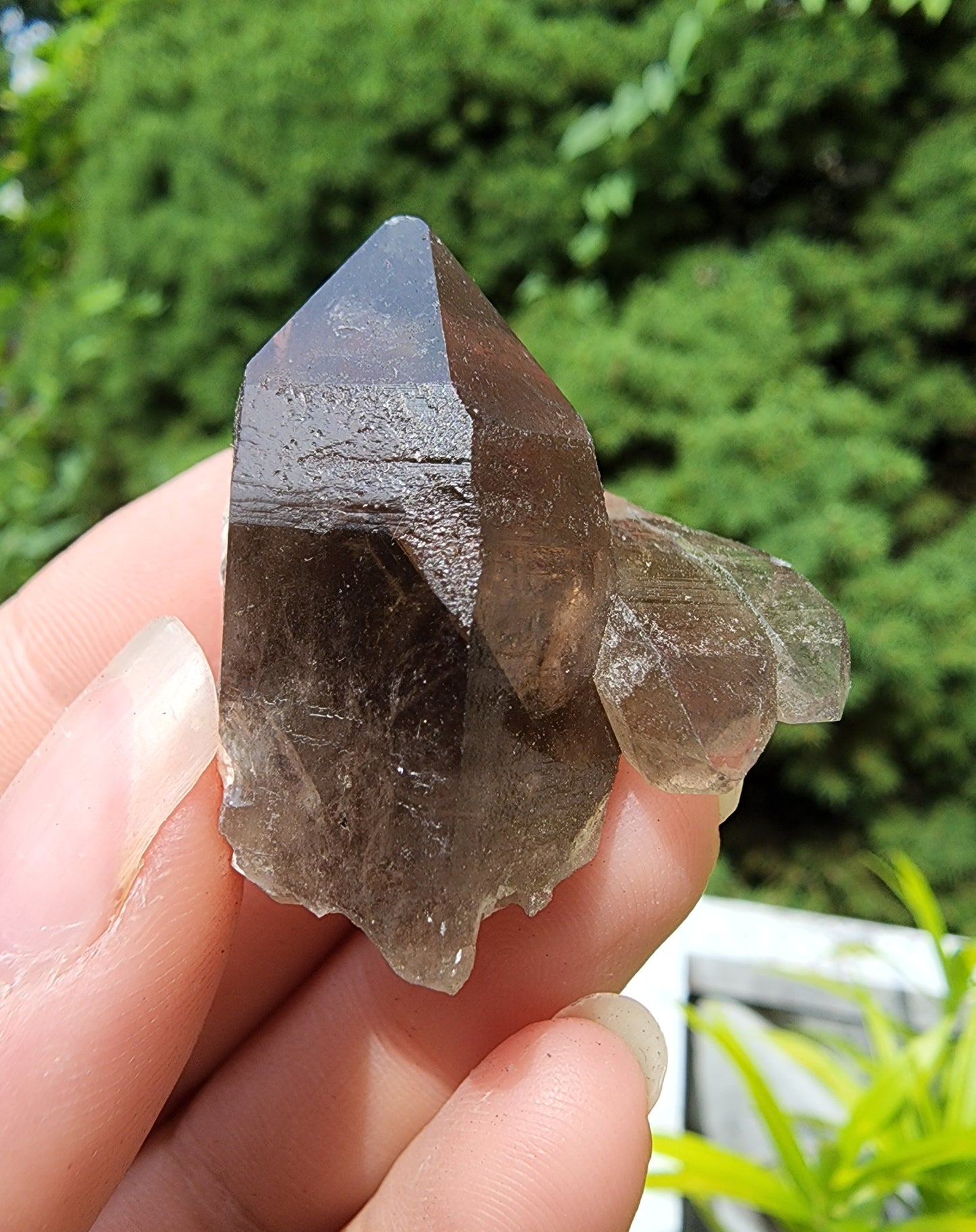 Smoky Quartz