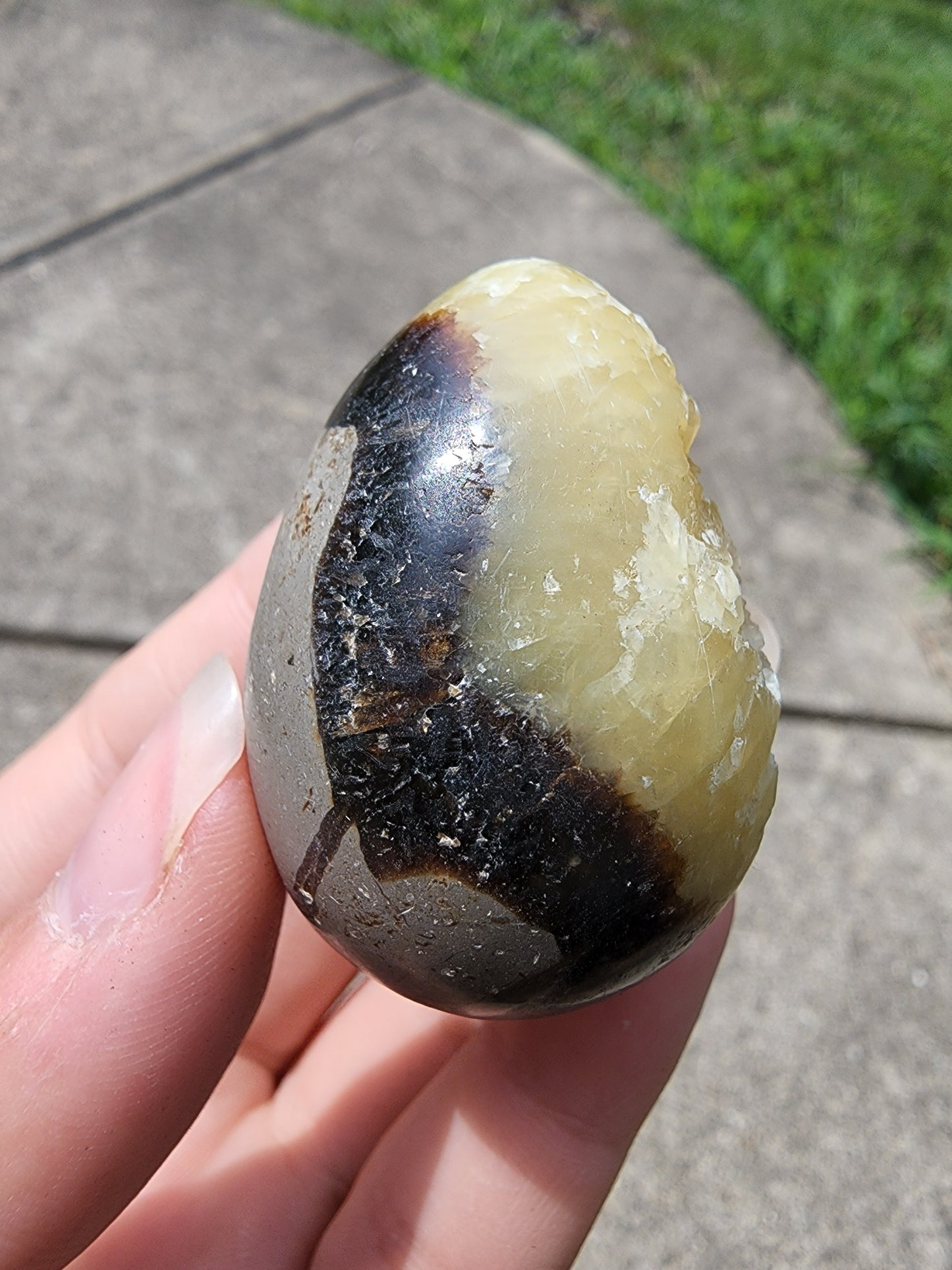 Septarian Egg