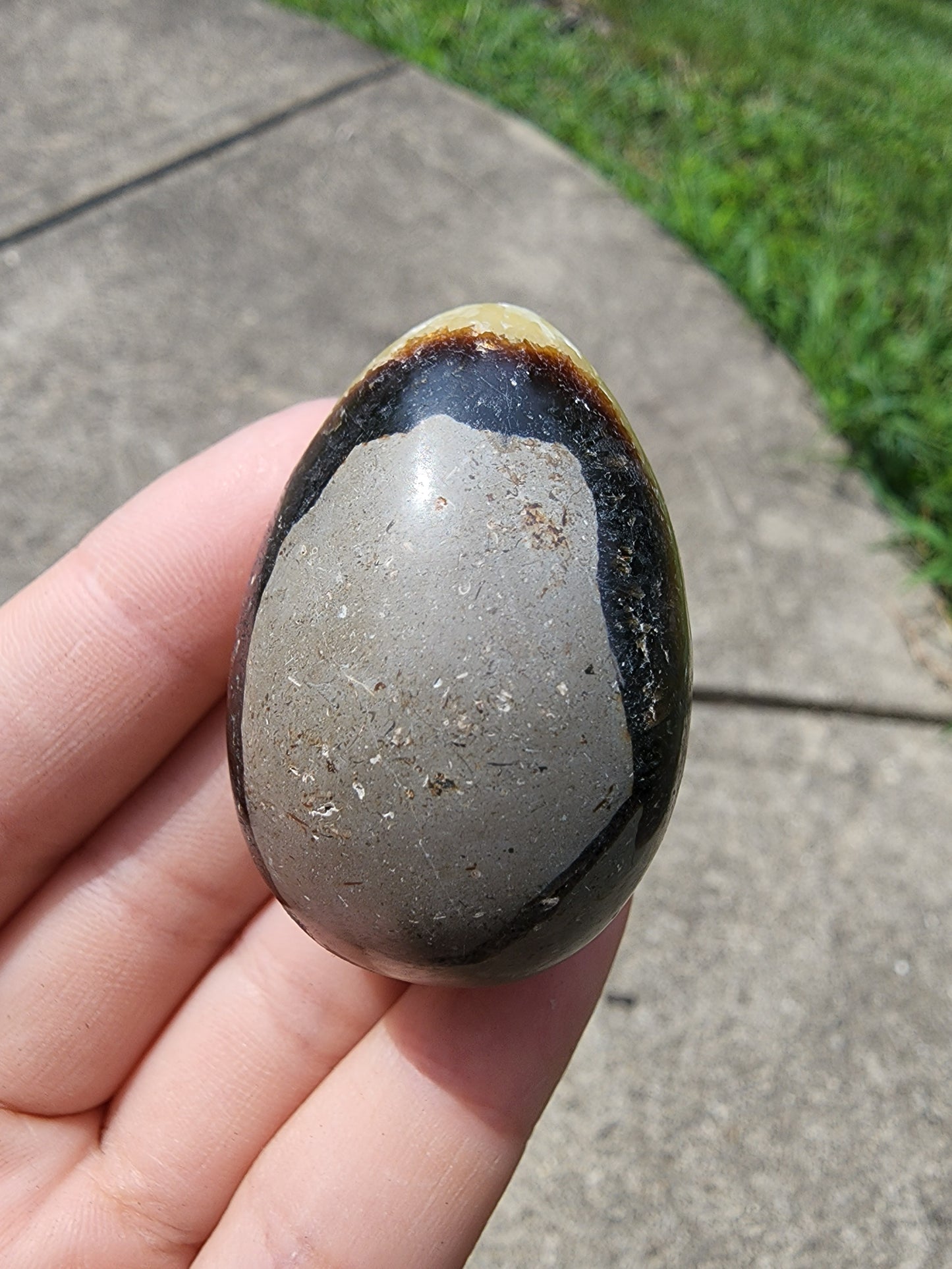Septarian Egg
