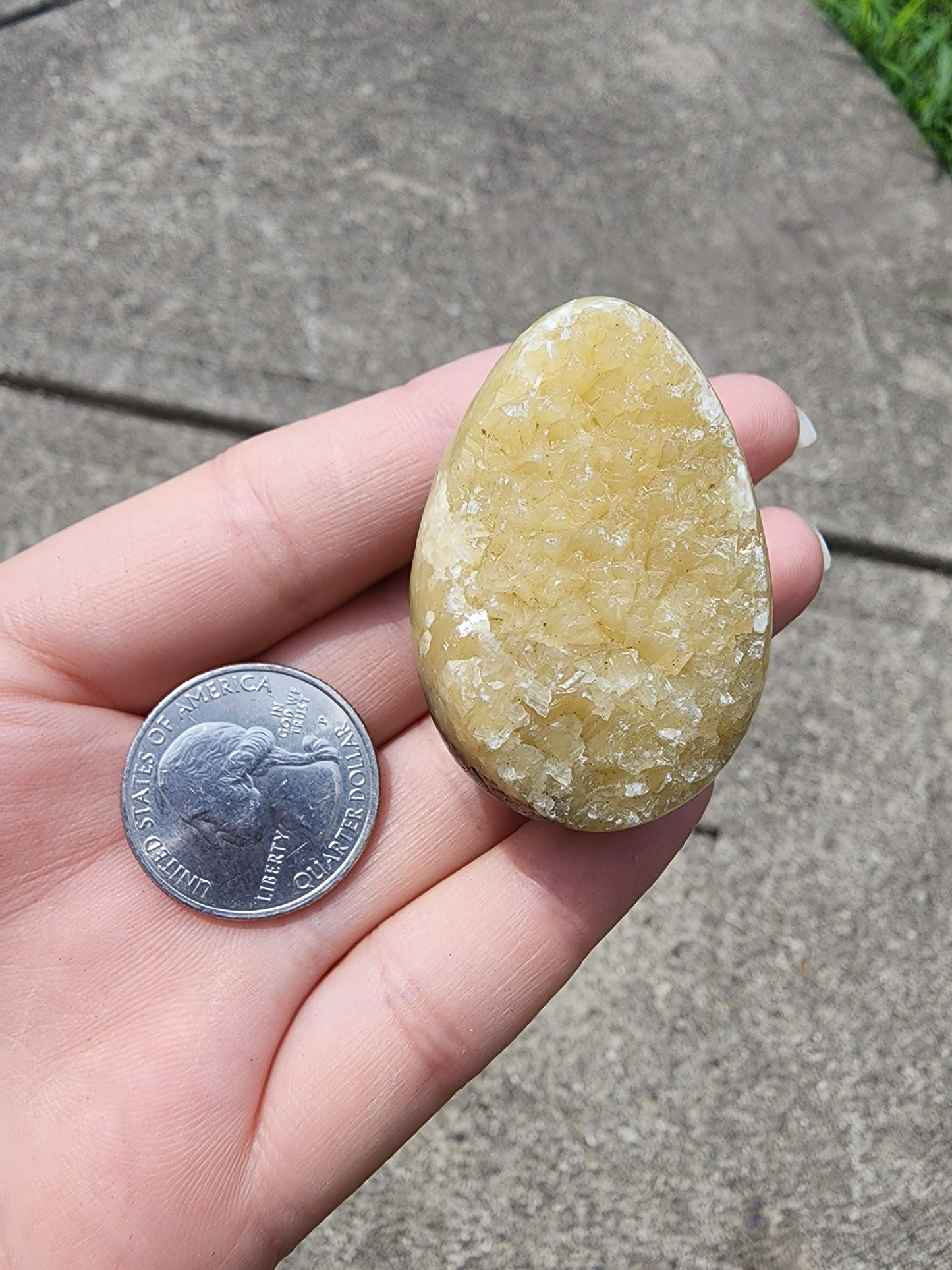 Septarian Egg