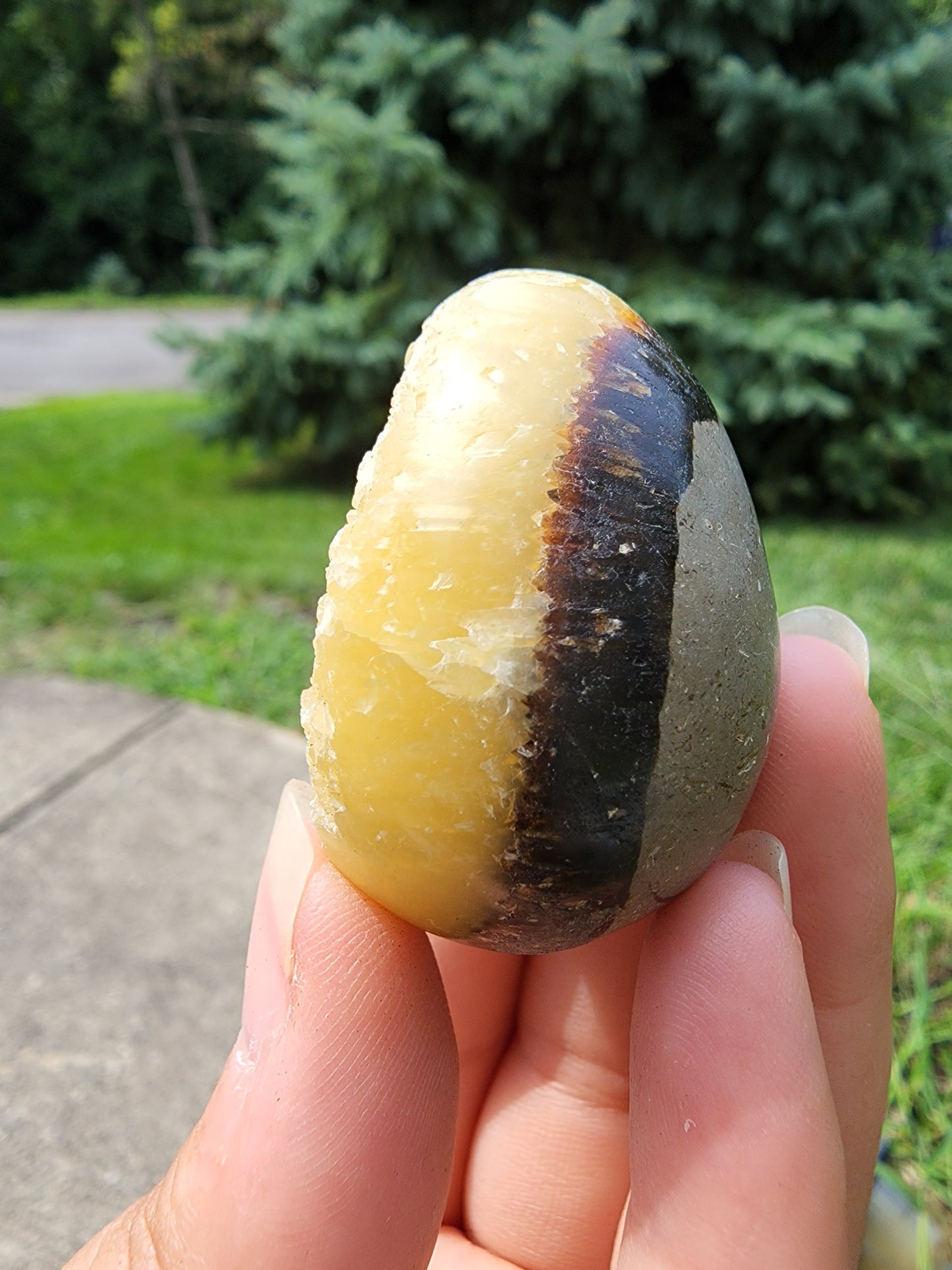 Septarian Egg