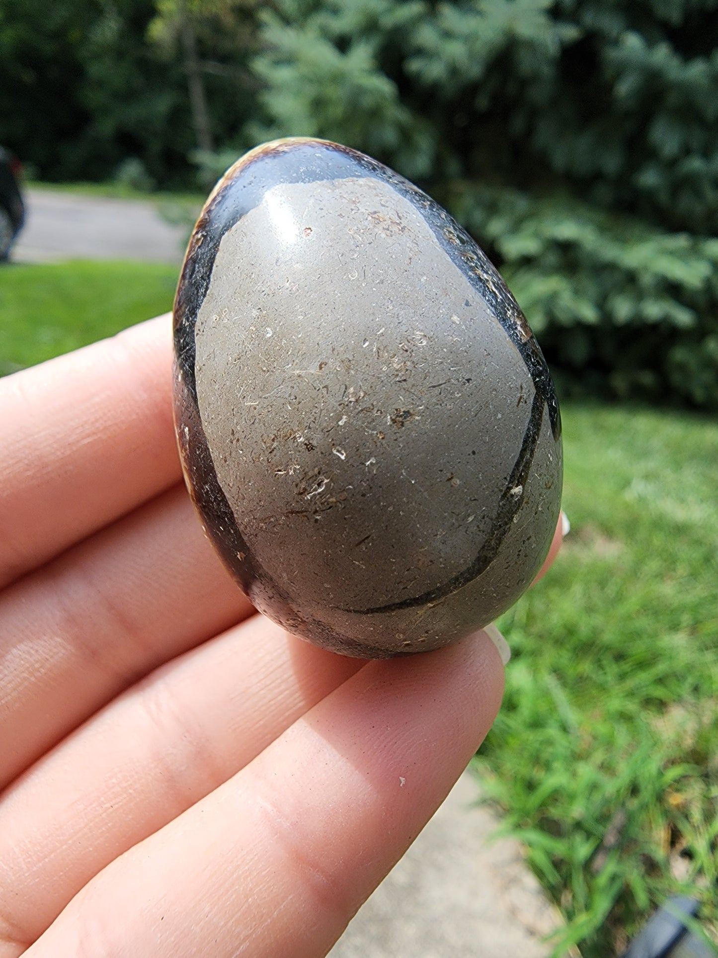 Septarian Egg