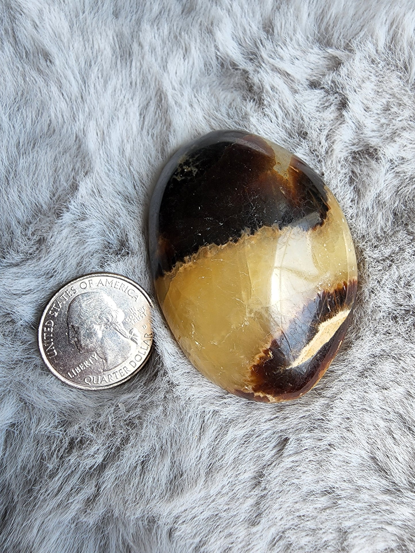 Septarian Palmstone
