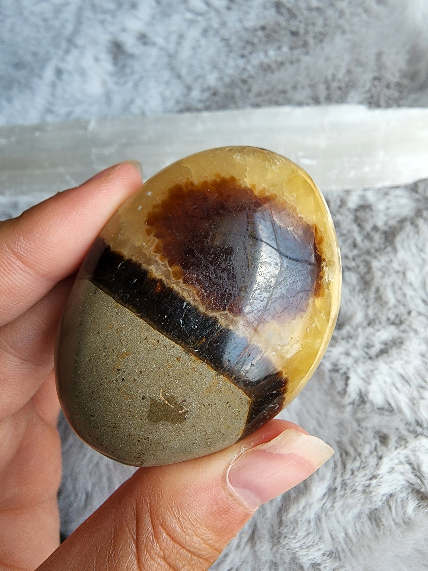 Septarian Palmstone