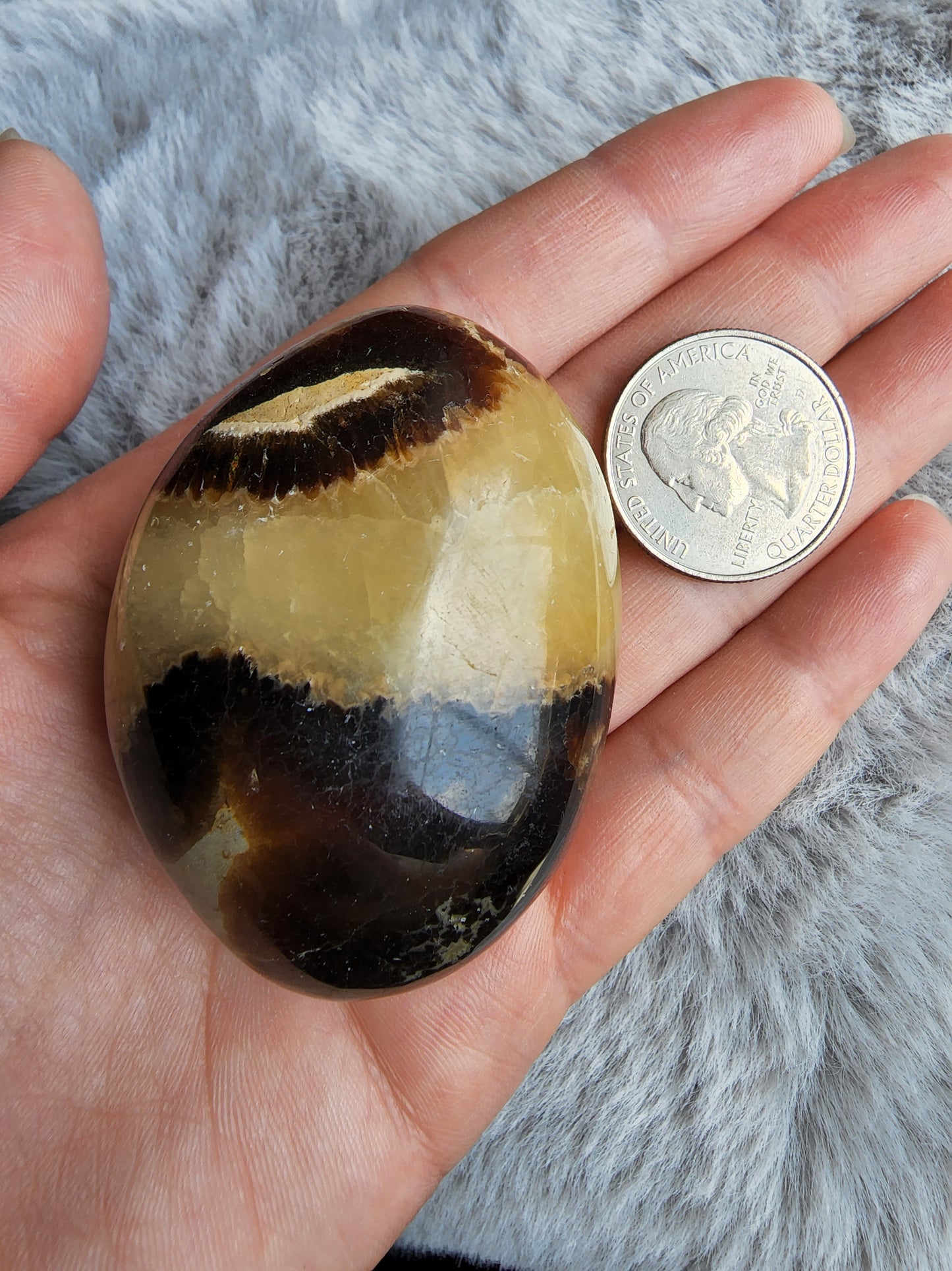 Septarian Palmstone