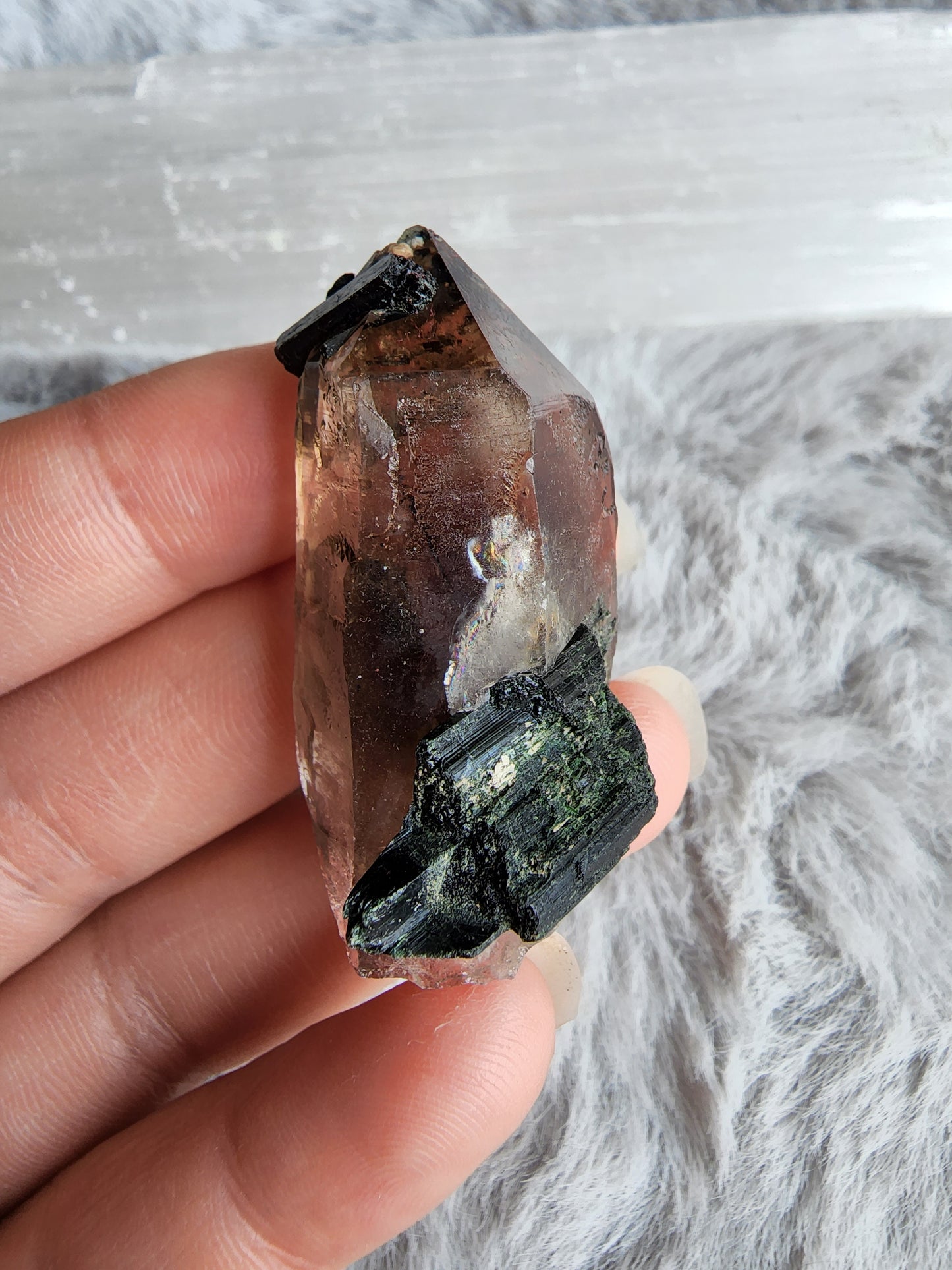Smoky Quartz in Aegirine