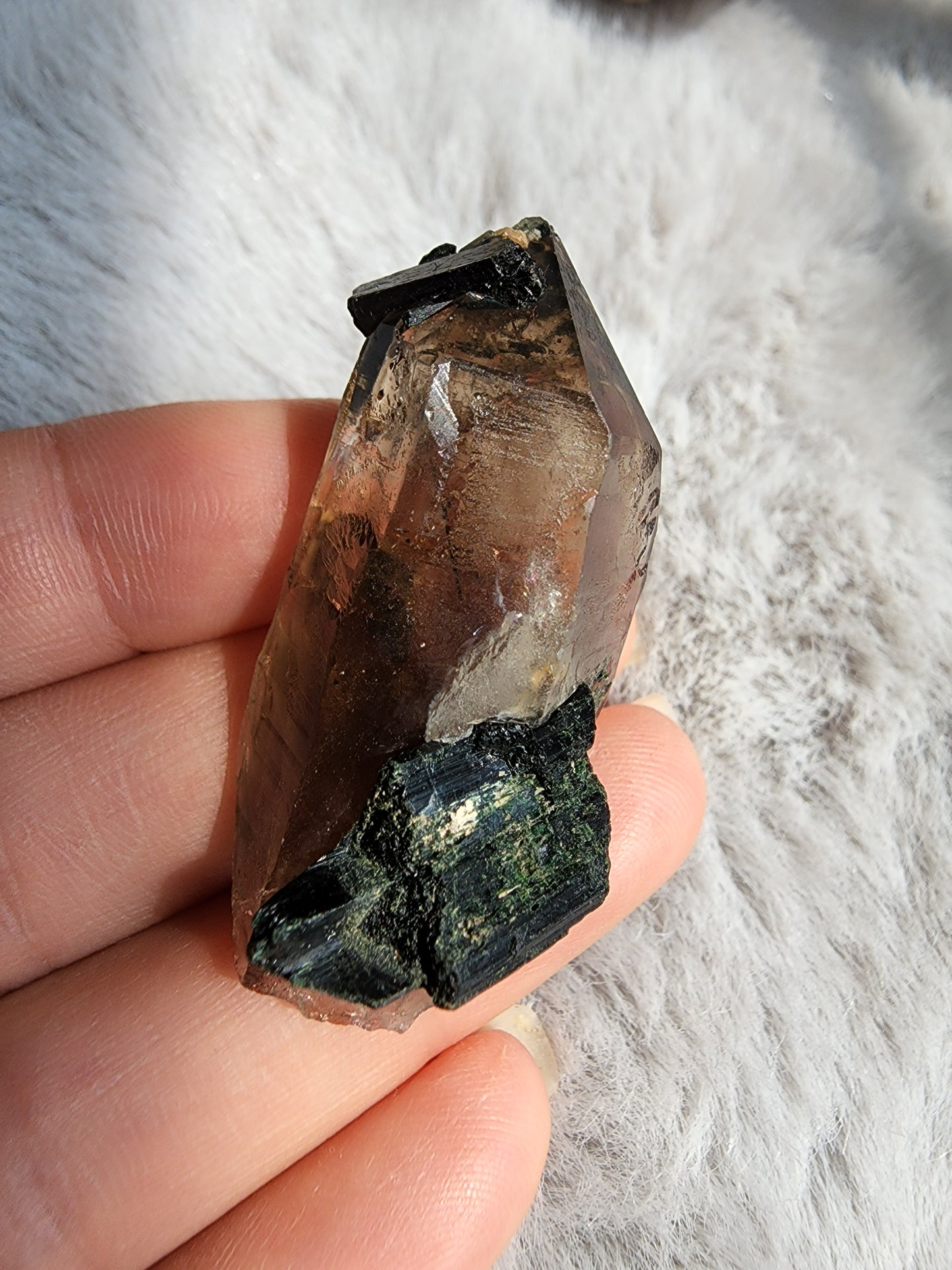 Smoky Quartz in Aegirine