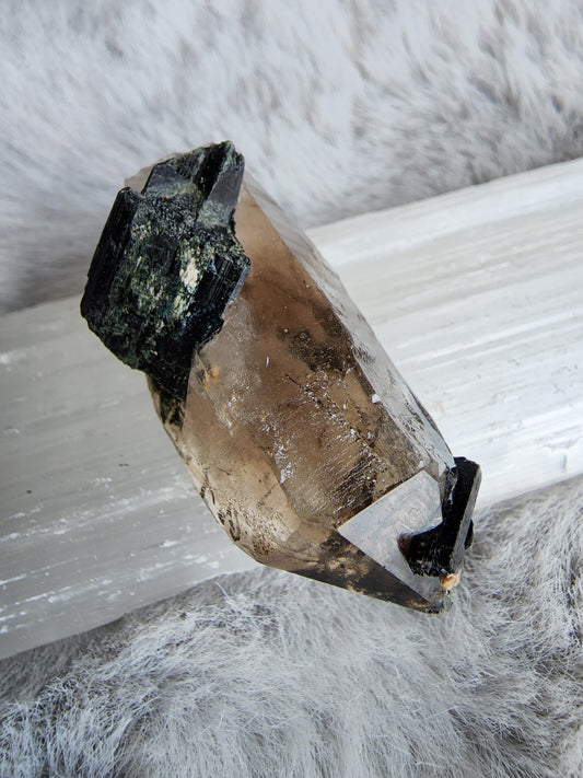 Smoky Quartz in Aegirine