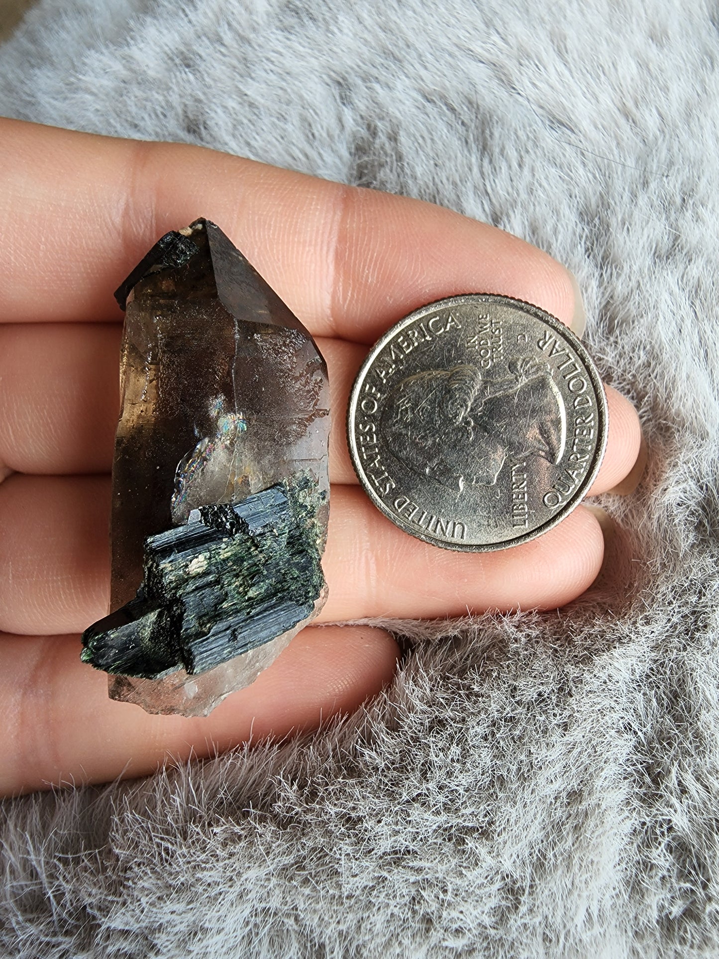 Smoky Quartz in Aegirine