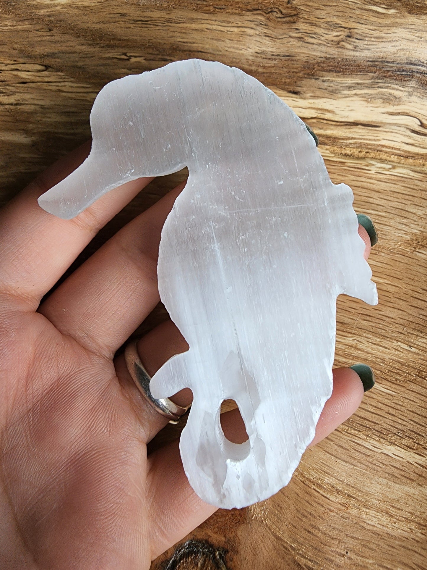 Selenite Seahorse