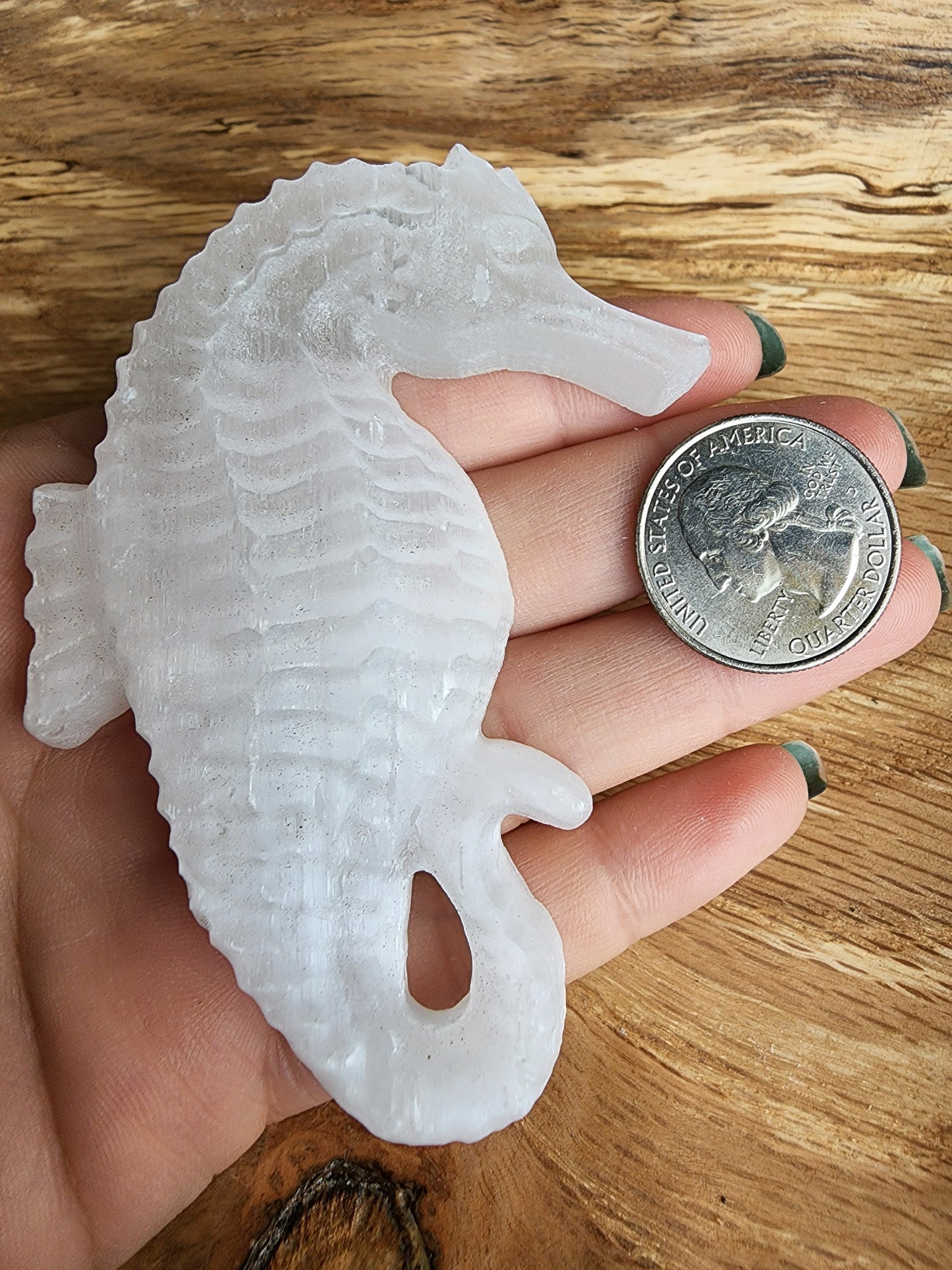 Selenite Seahorse