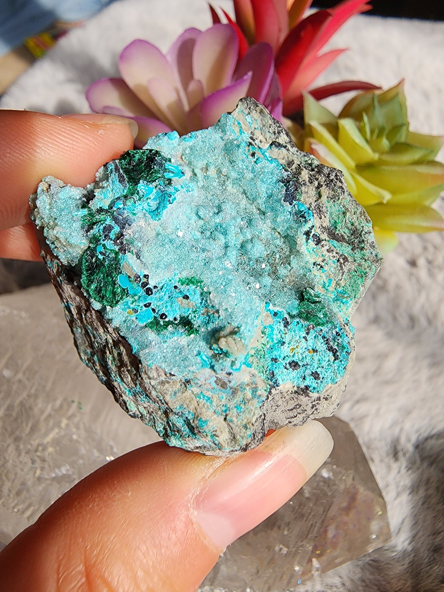 Druzy Chrysocolla Malachite