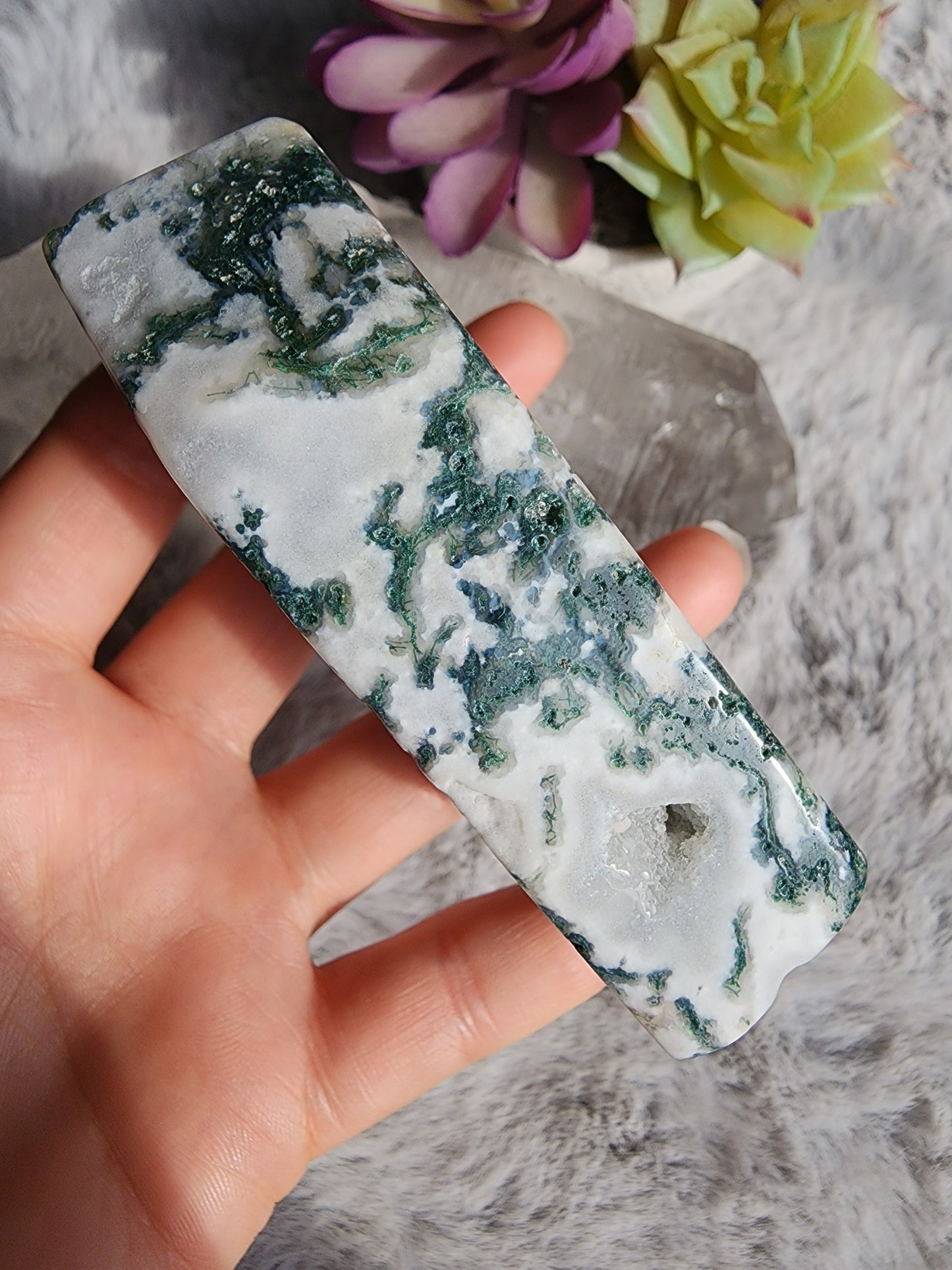 Tree Agate Coffin
