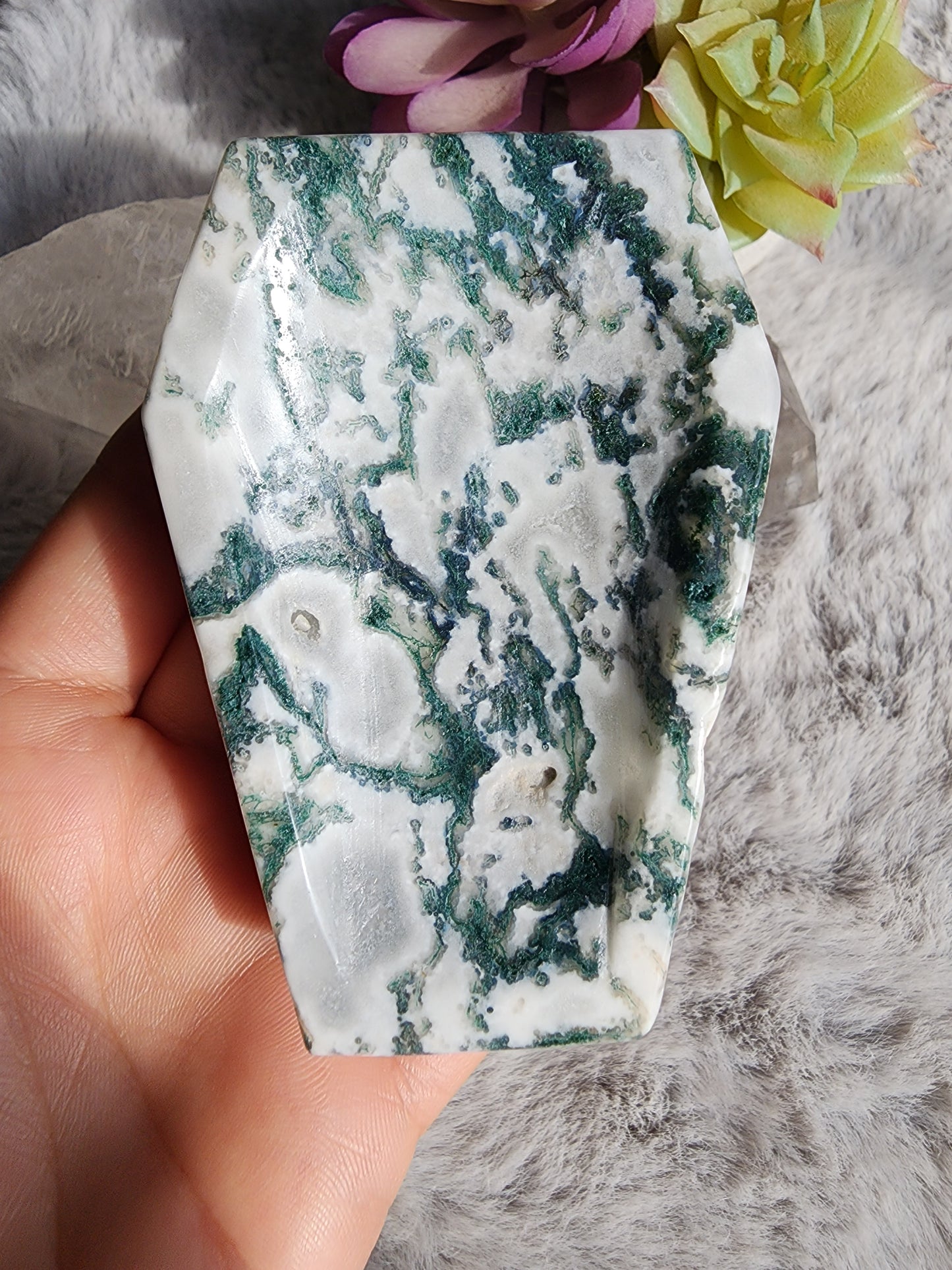 Tree Agate Coffin