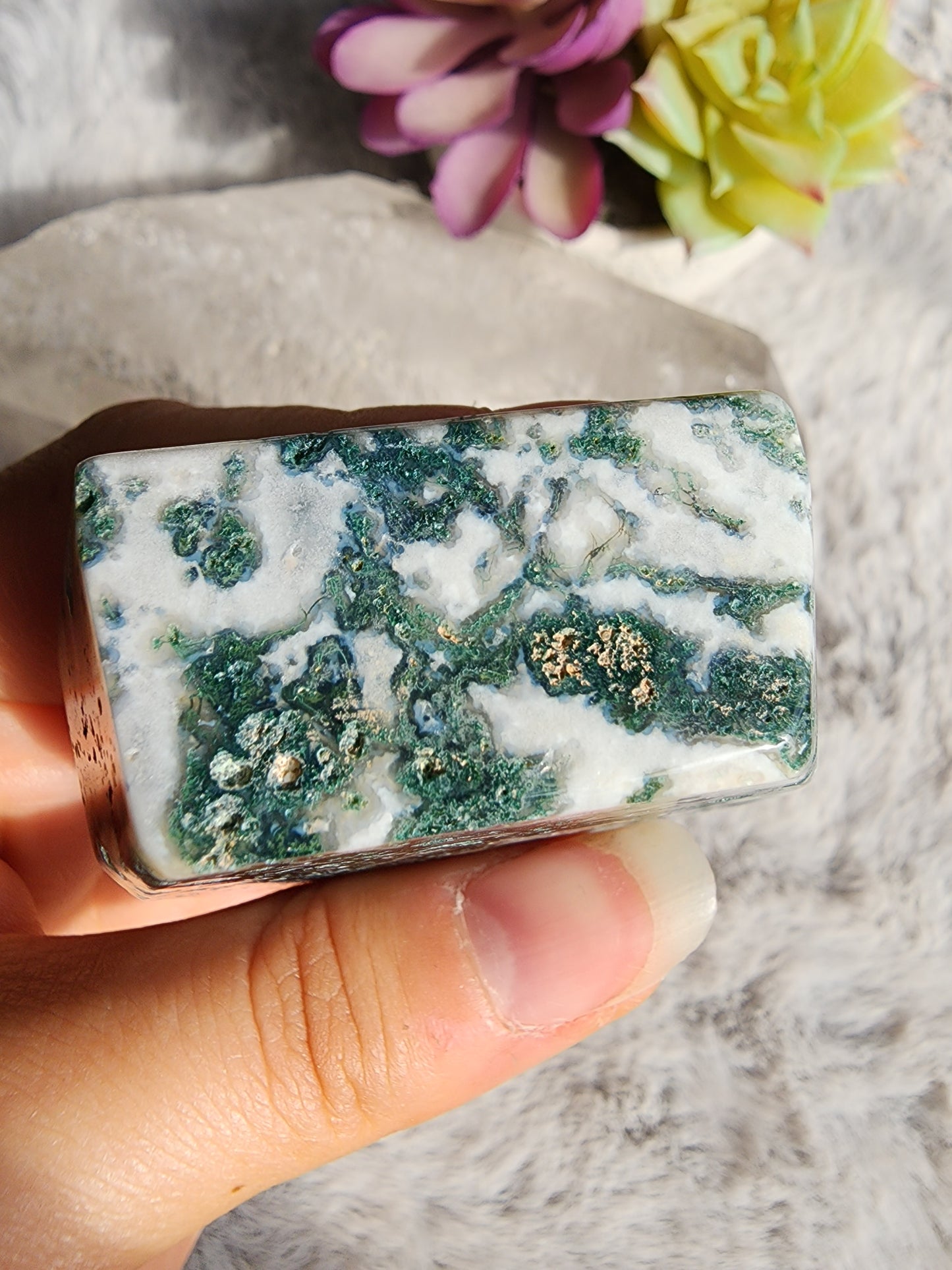Tree Agate Coffin