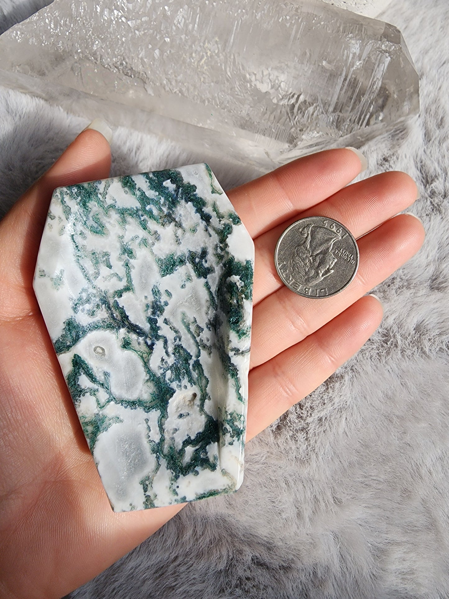 Tree Agate Coffin
