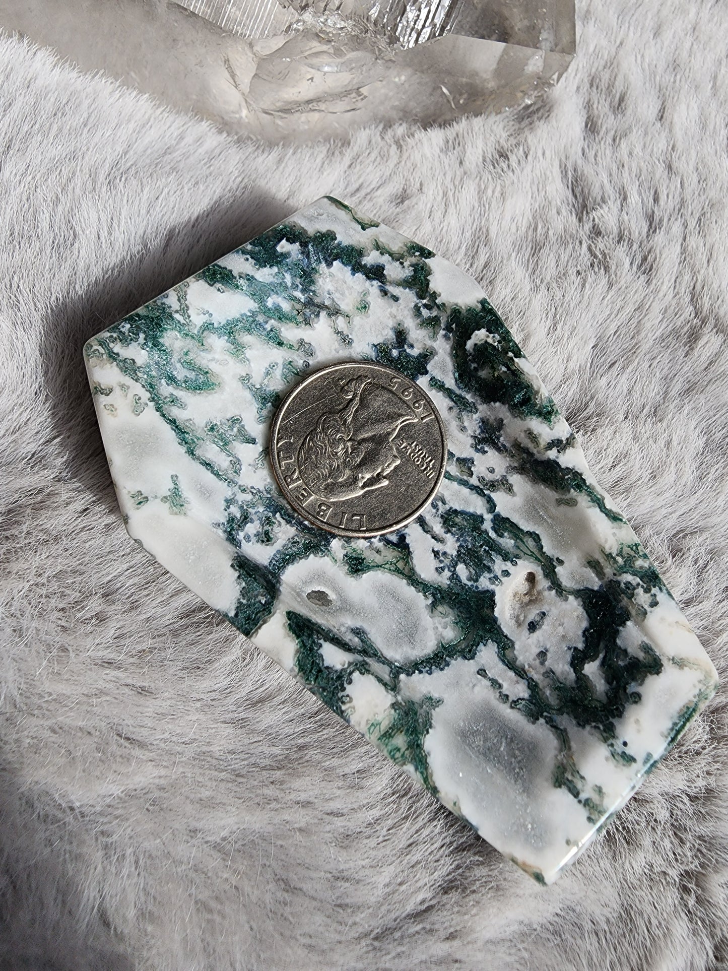Tree Agate Coffin