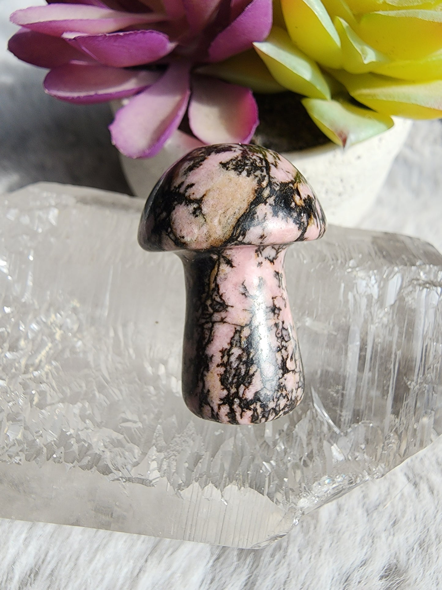 Rhodonite Mushroom