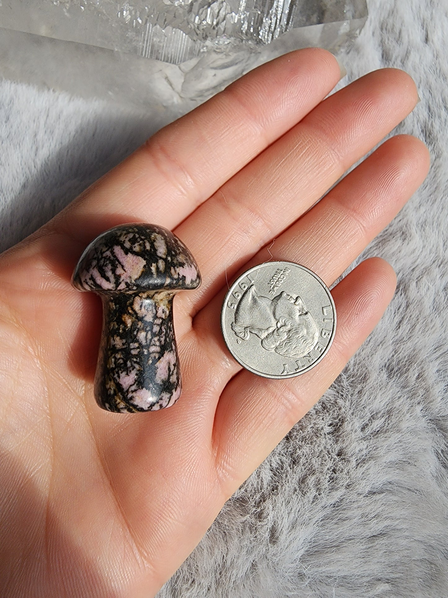 Rhodonite Mushroom