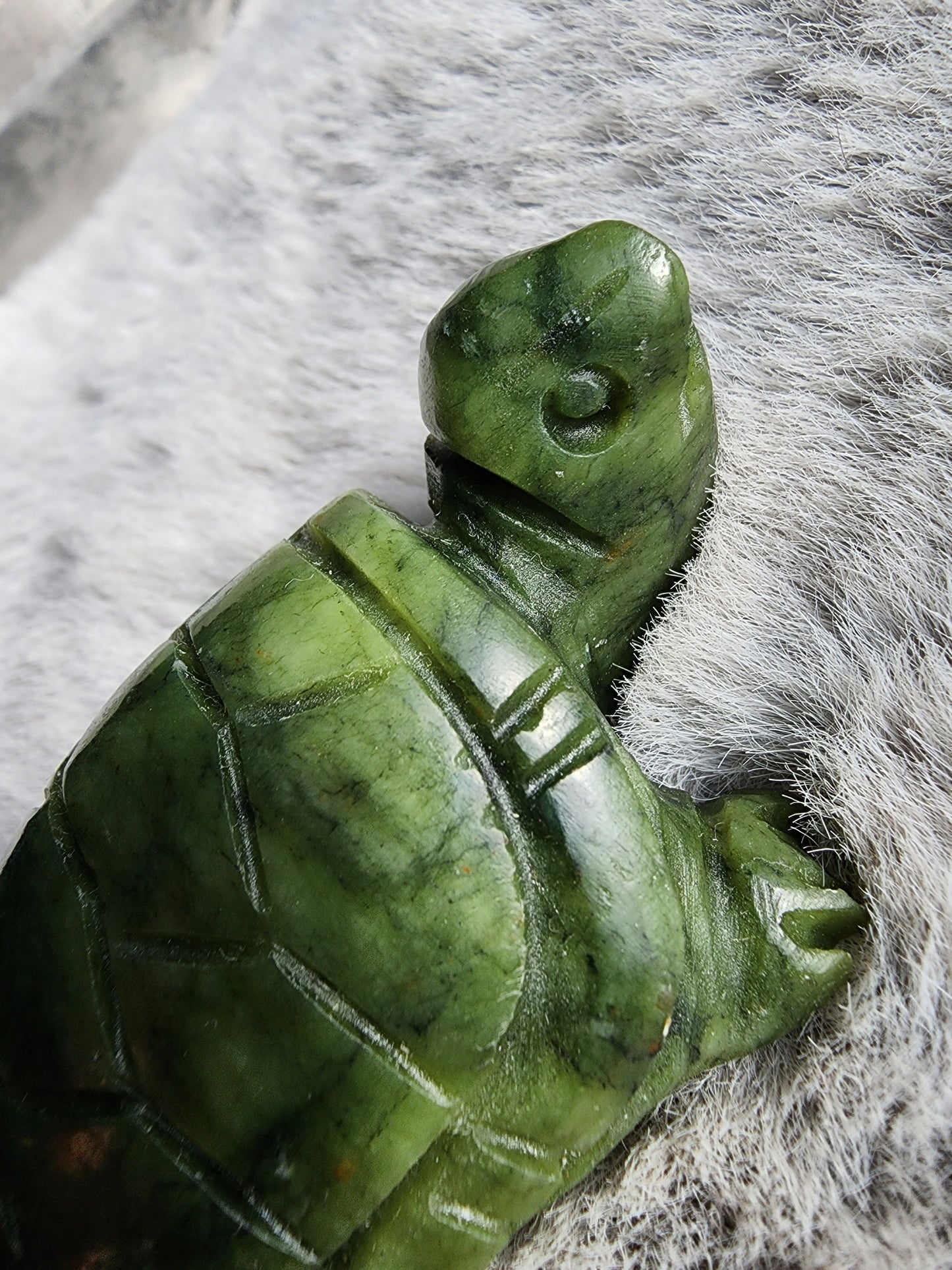 Serpentine Turtle