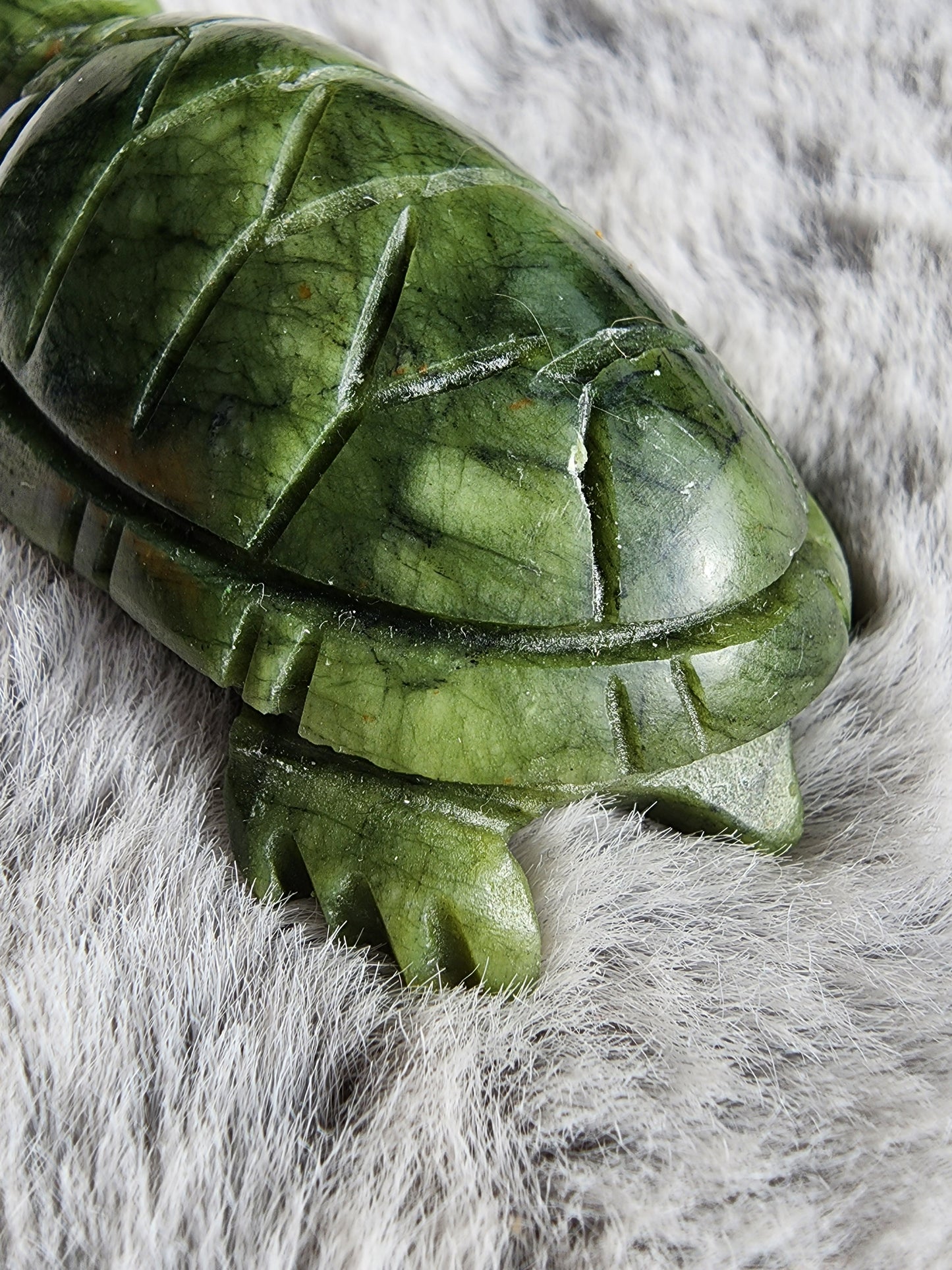Serpentine Turtle