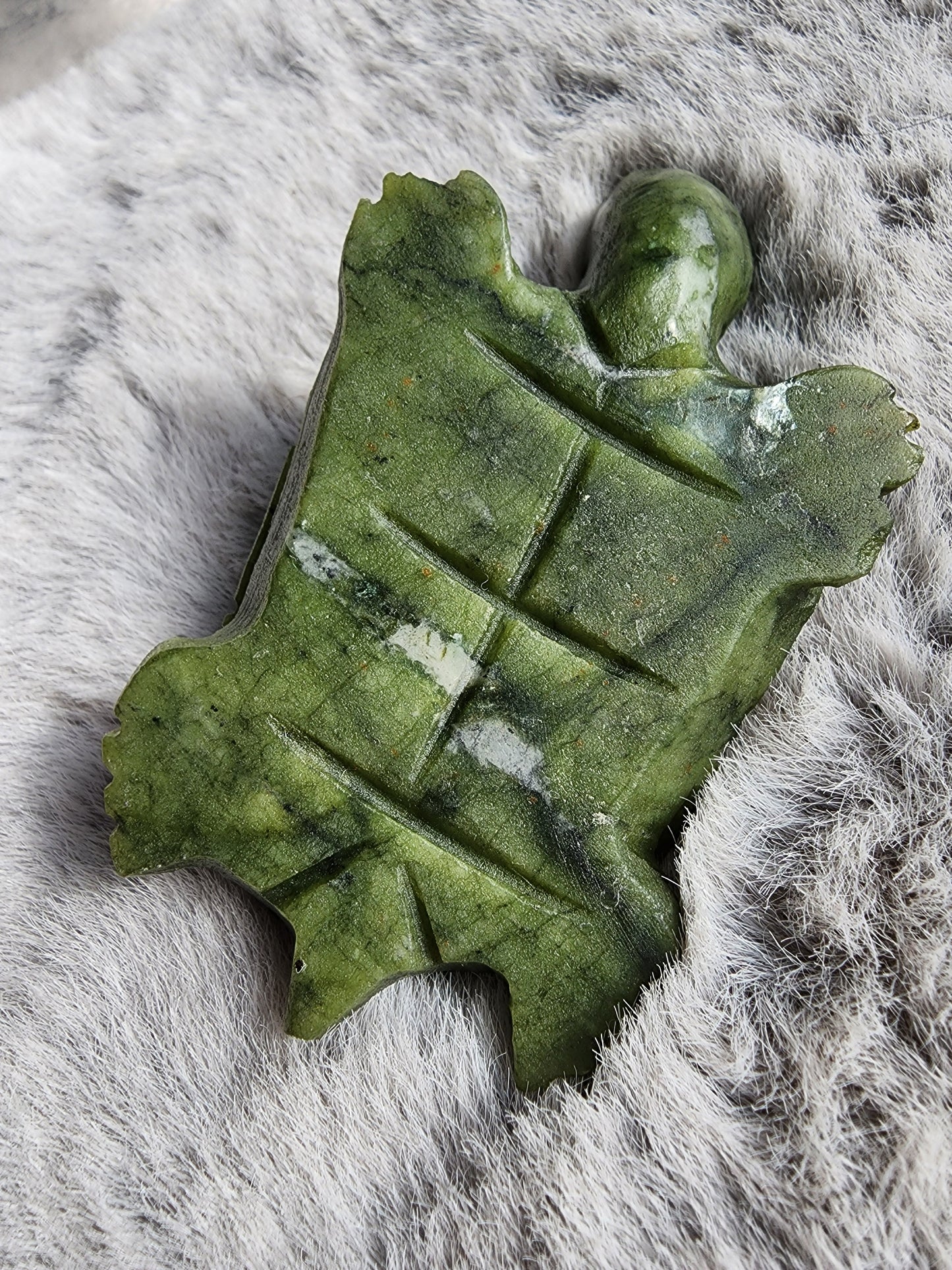 Serpentine Turtle