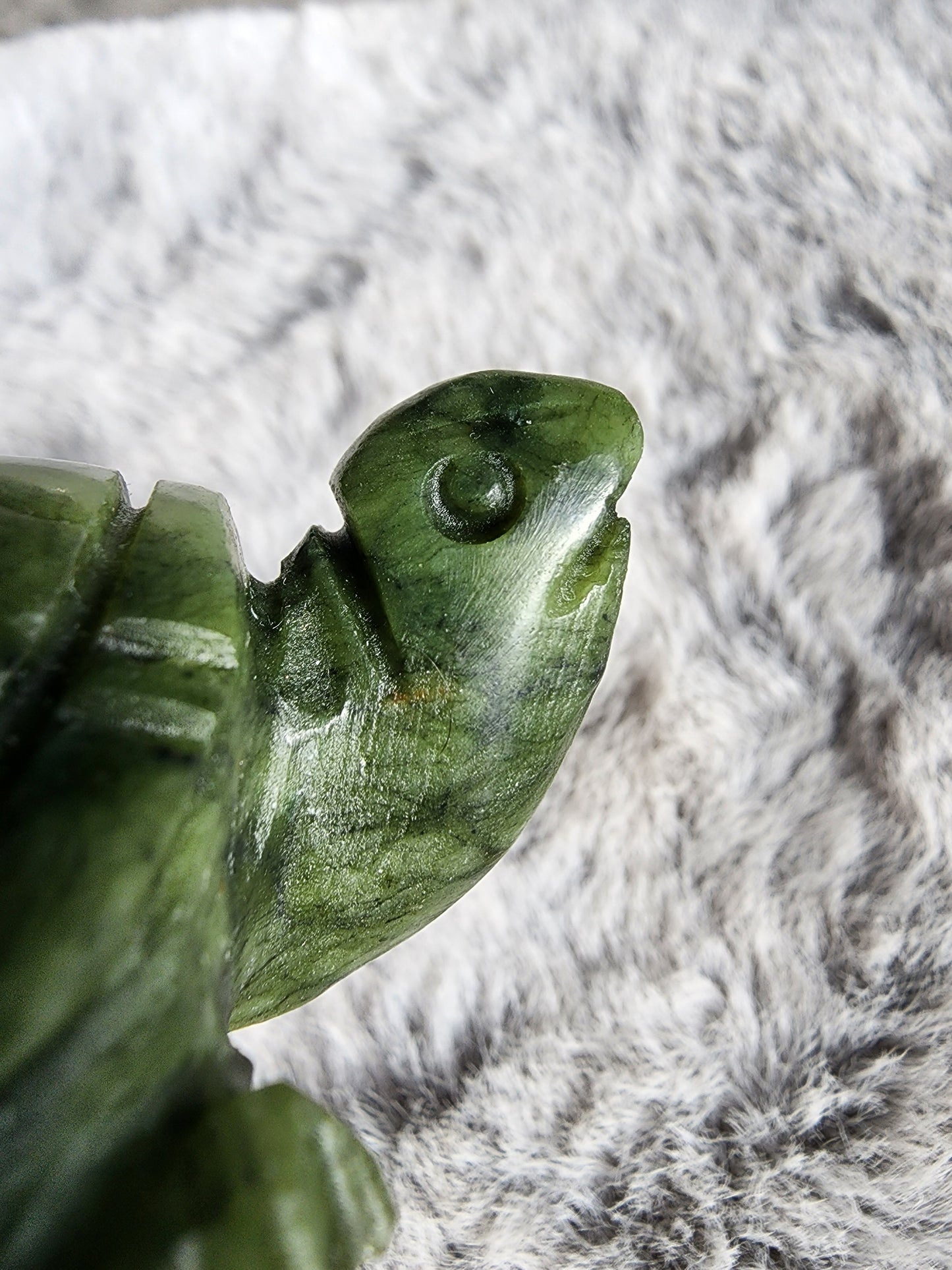 Serpentine Turtle