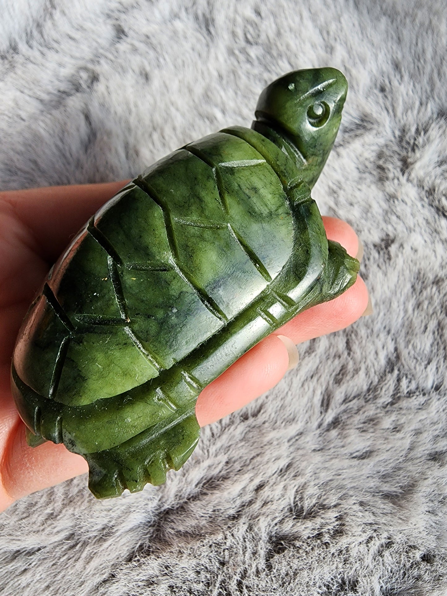 Serpentine Turtle