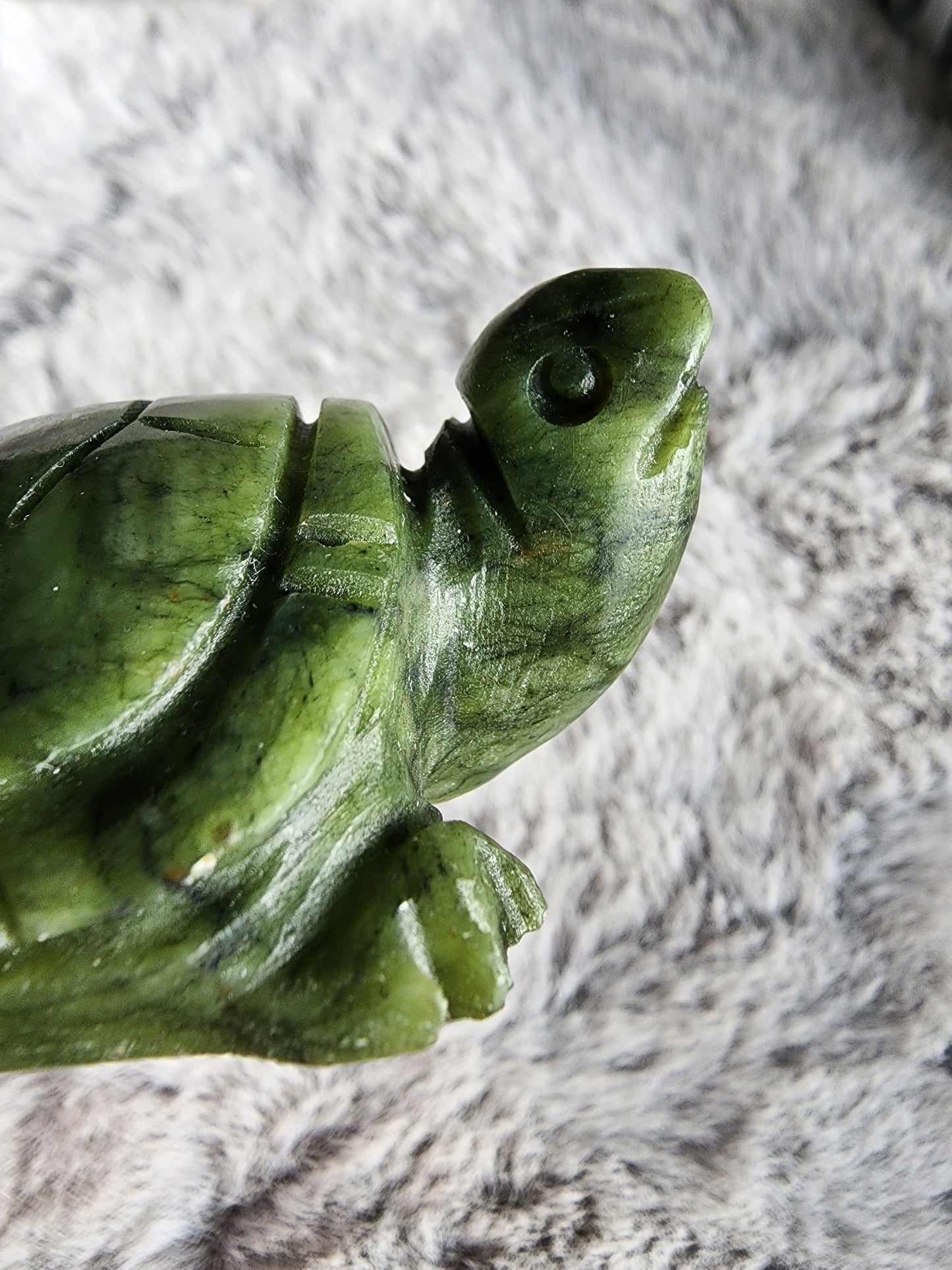 Serpentine Turtle