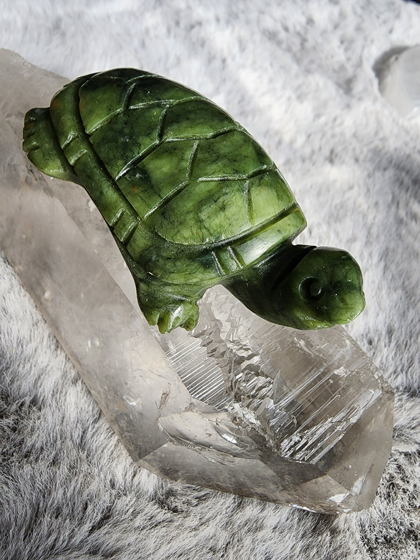 Serpentine Turtle