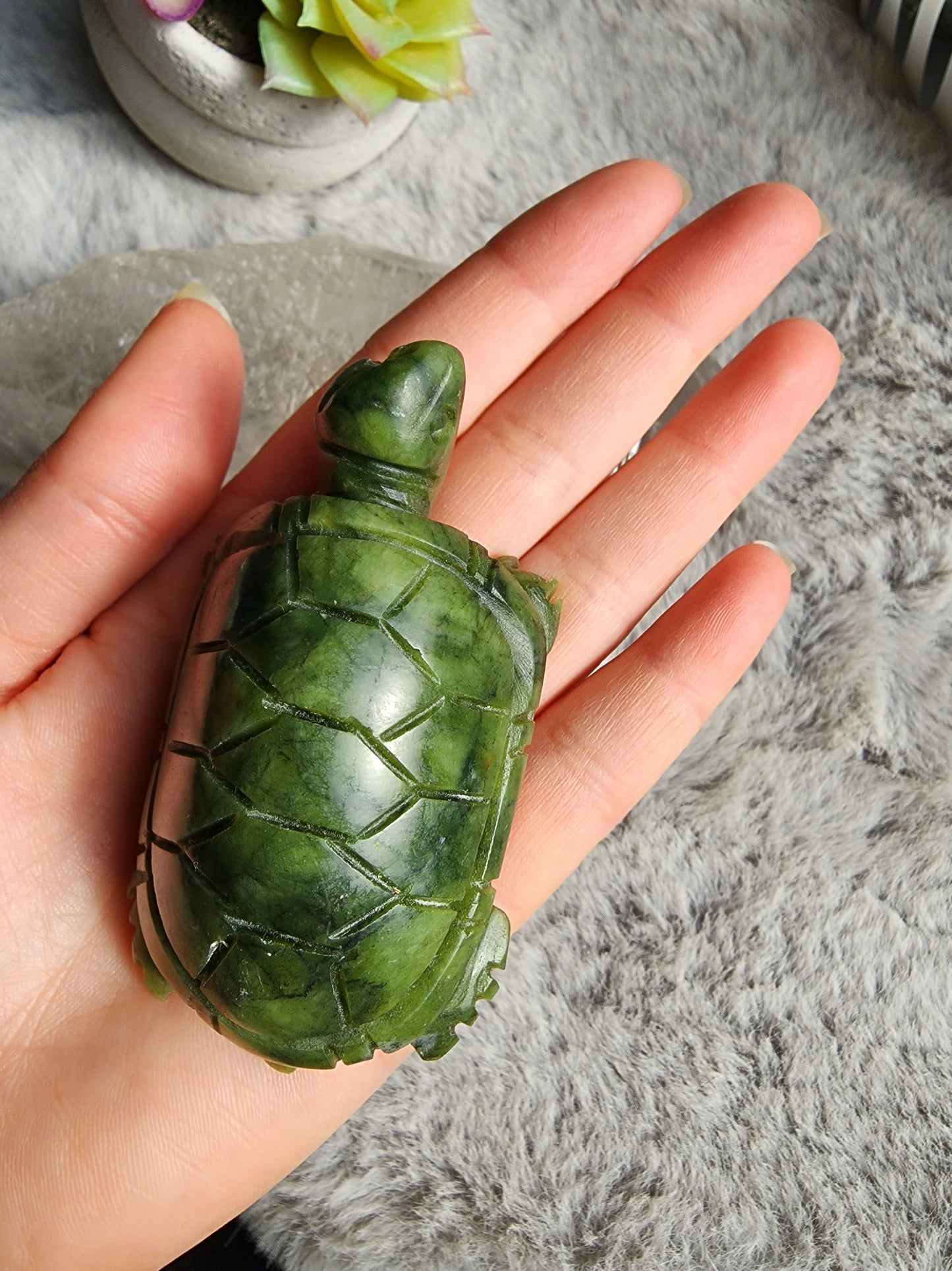 Serpentine Turtle
