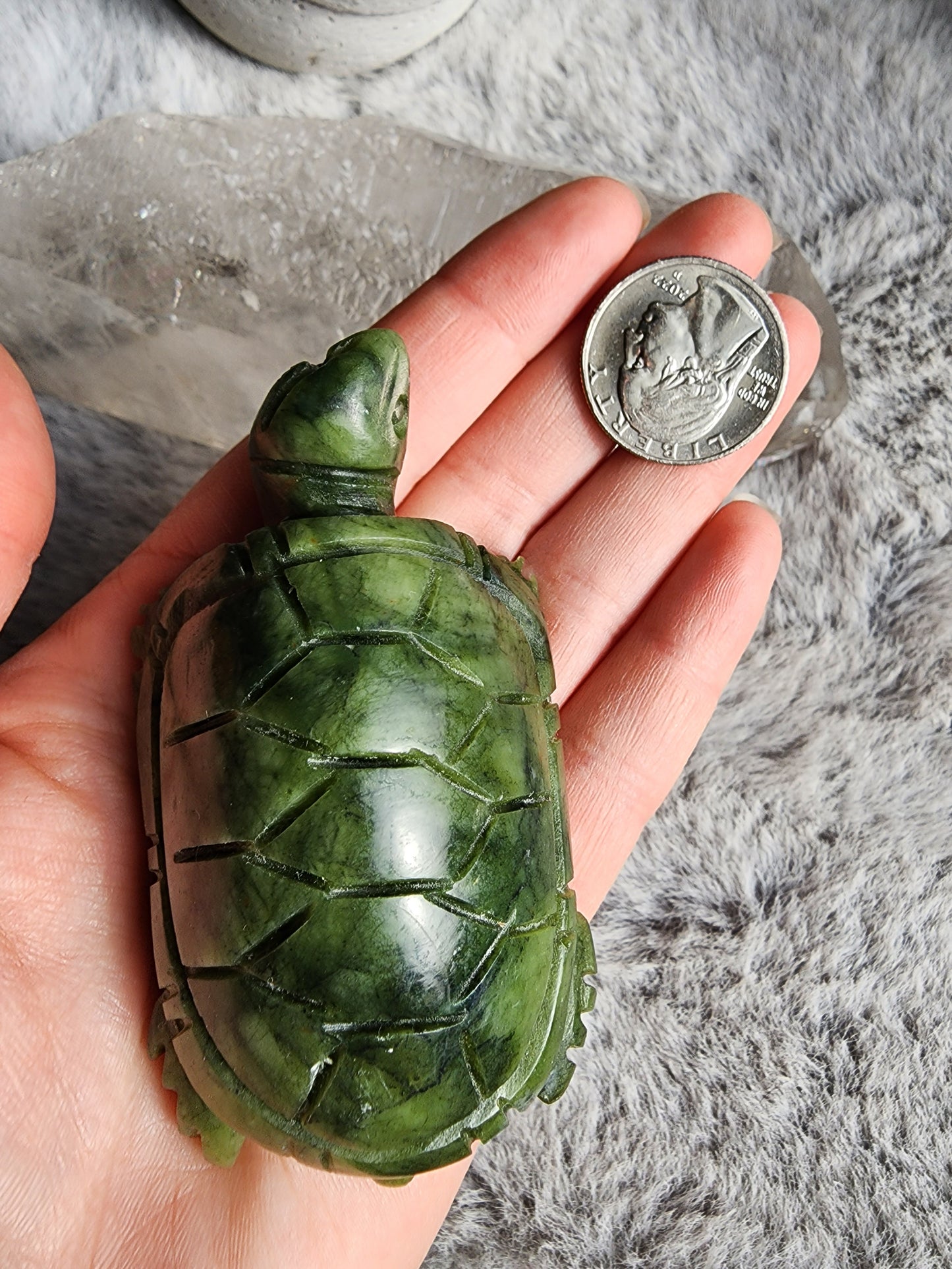 Serpentine Turtle